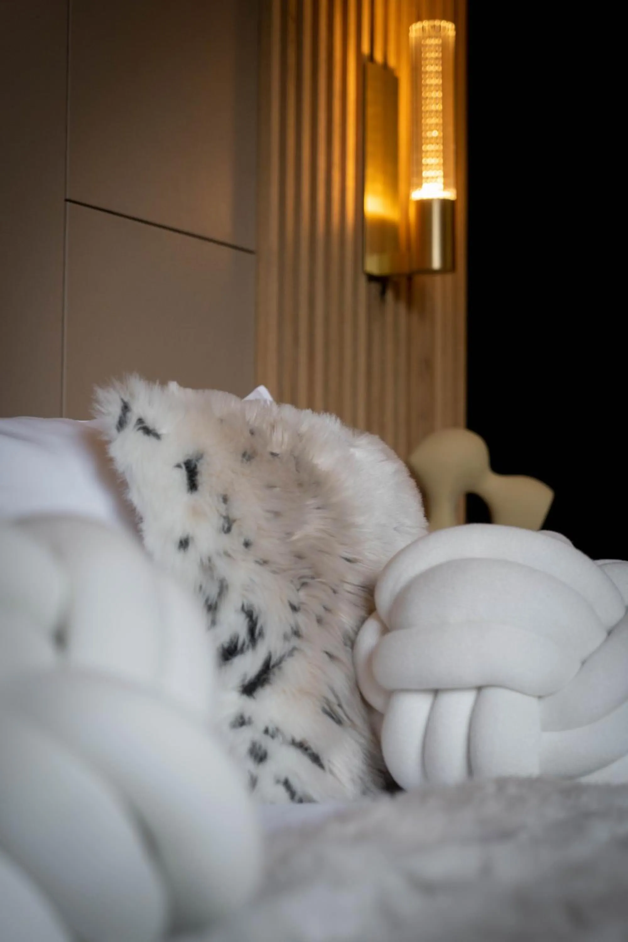 Bed in Domaine Des Hautes Fagnes