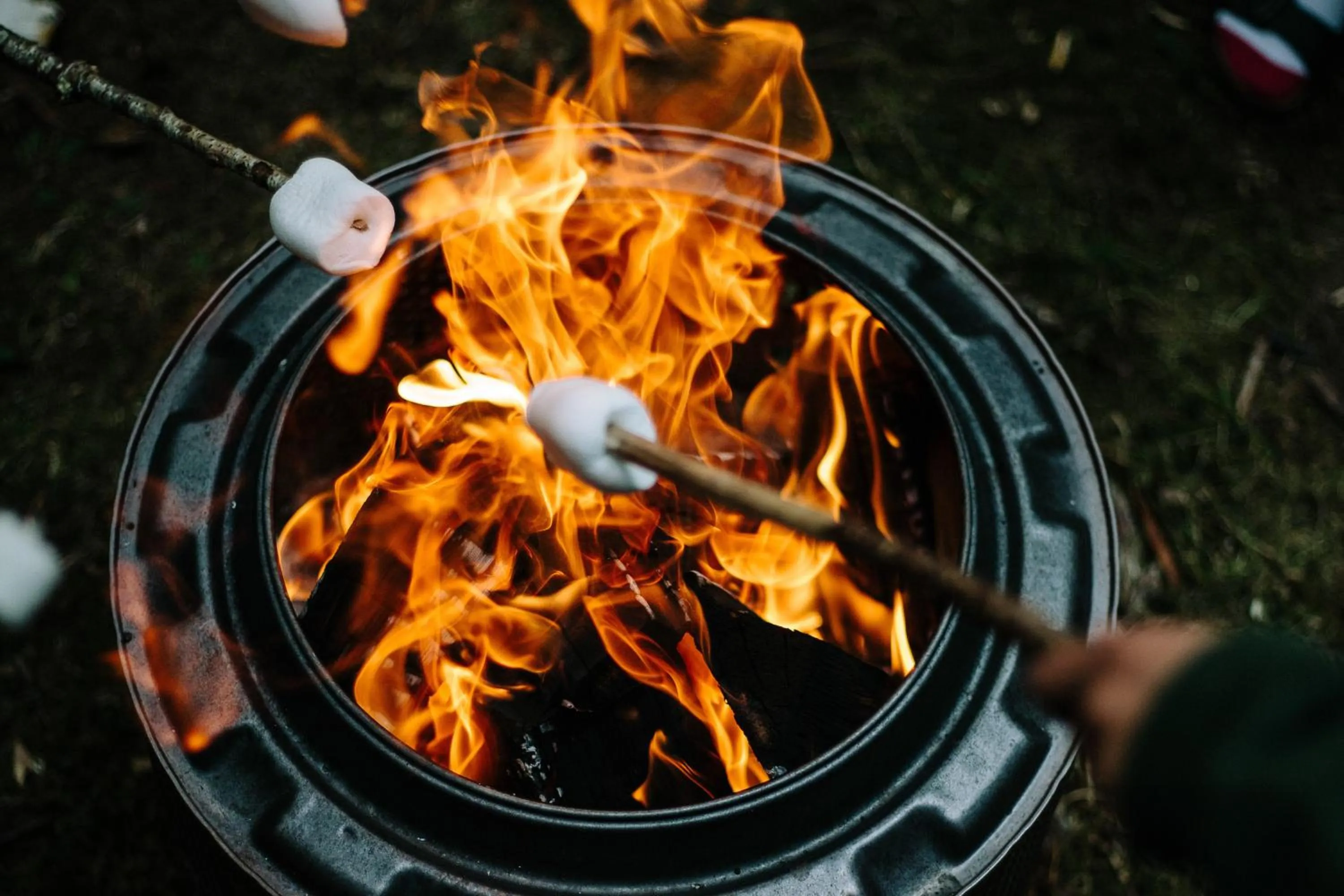Activities in Llan-Y-Coed Farm Stay