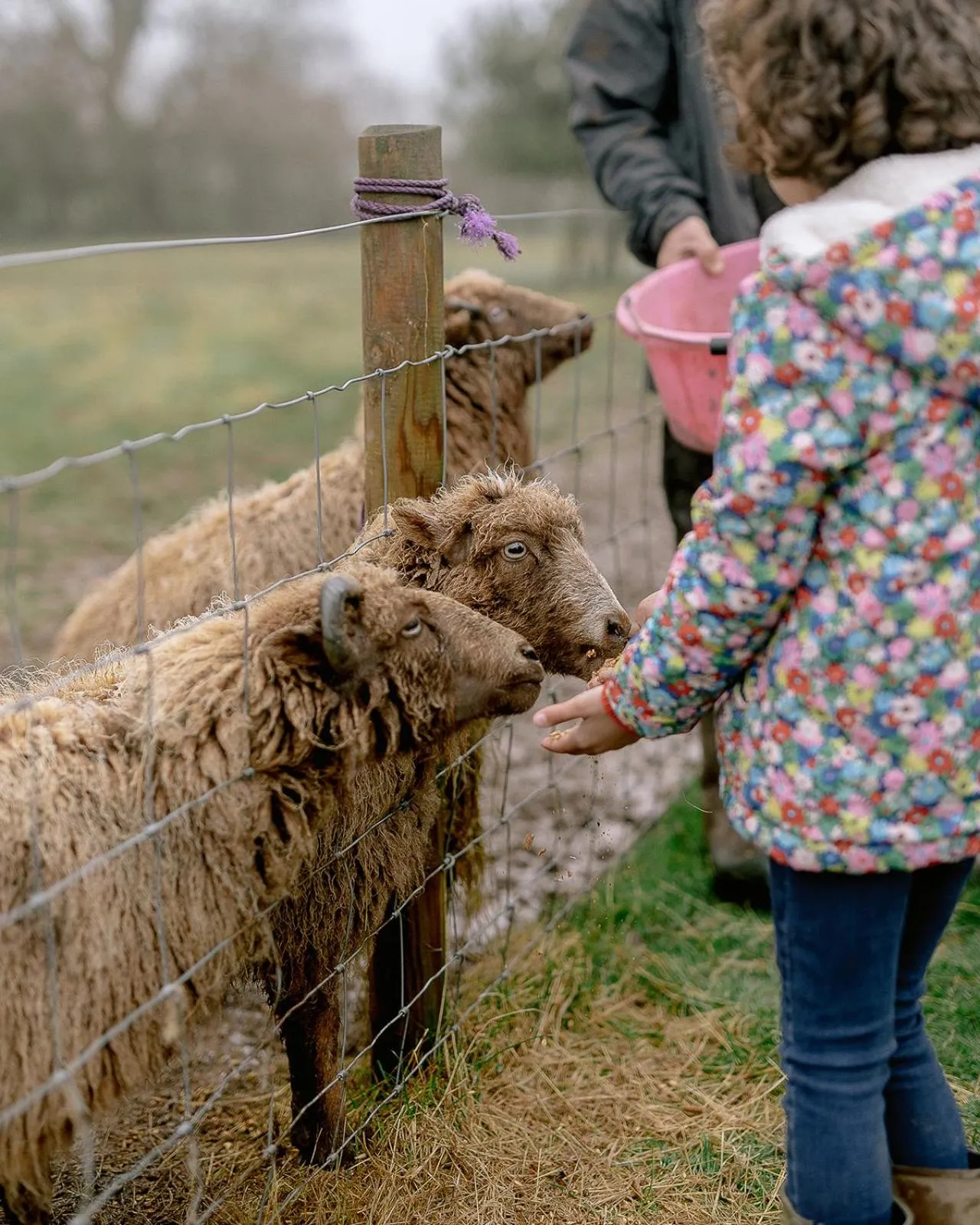 Llan-Y-Coed Farm Stay