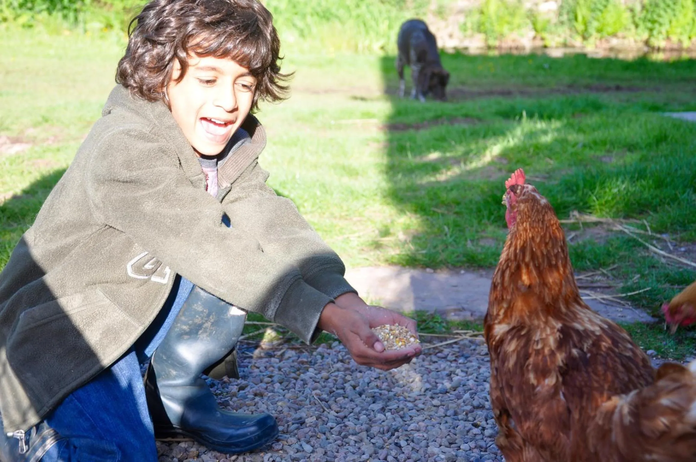 Activities in Llan-Y-Coed Farm Stay