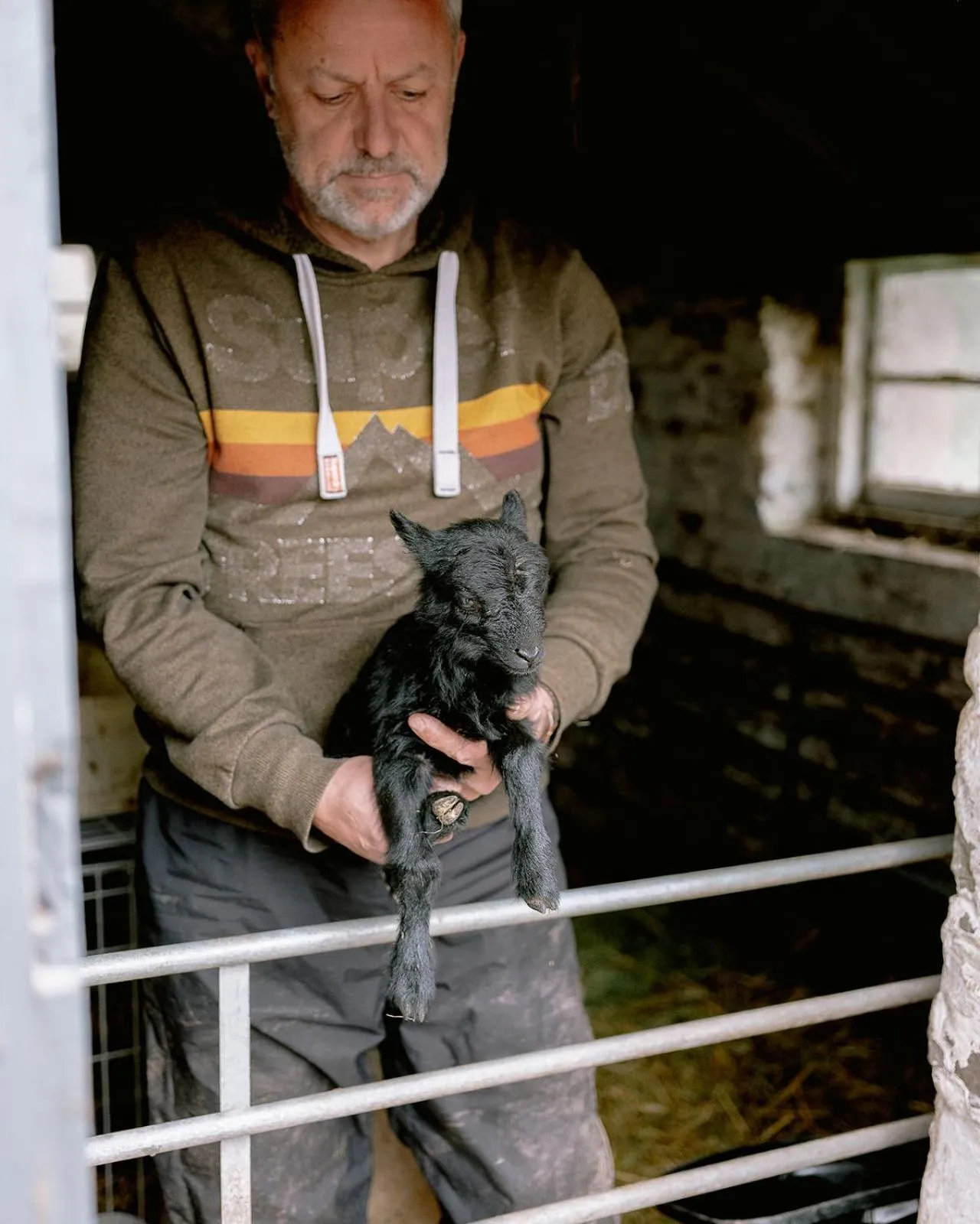 Llan-Y-Coed Farm Stay