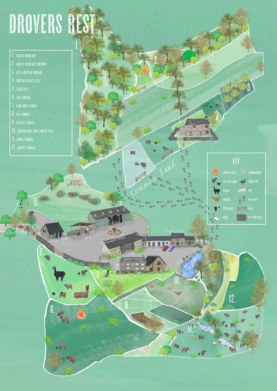 Bird's eye view in Llan-Y-Coed Farm Stay