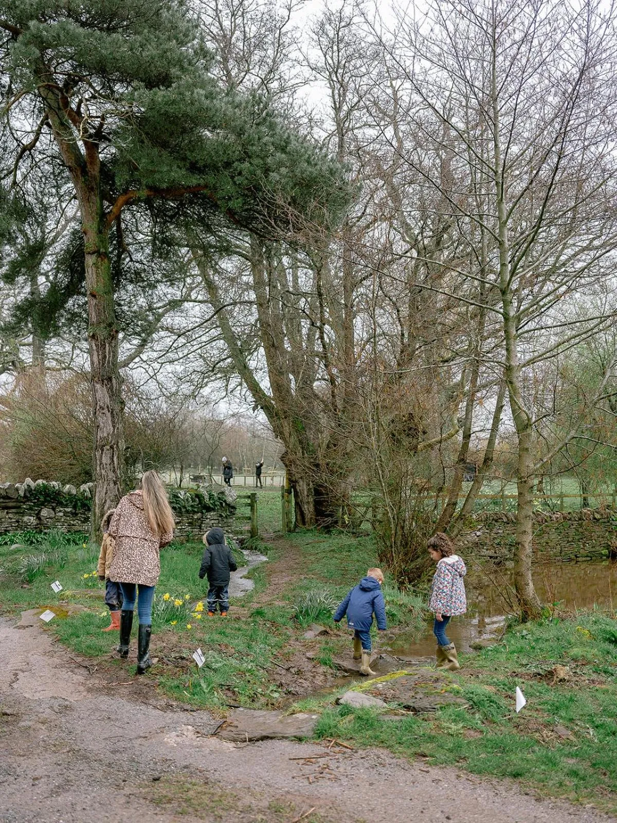 Llan-Y-Coed Farm Stay