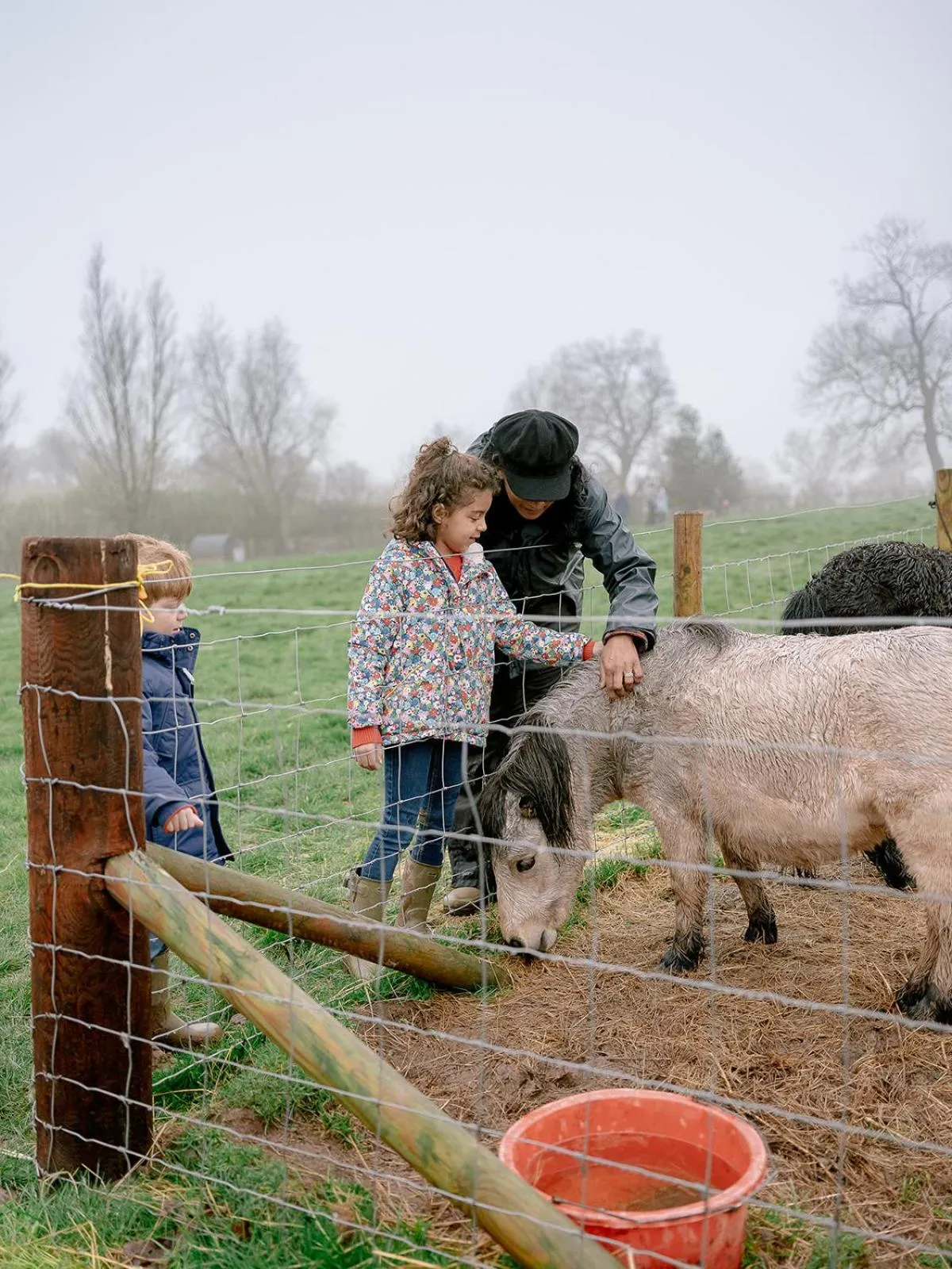 Llan-Y-Coed Farm Stay
