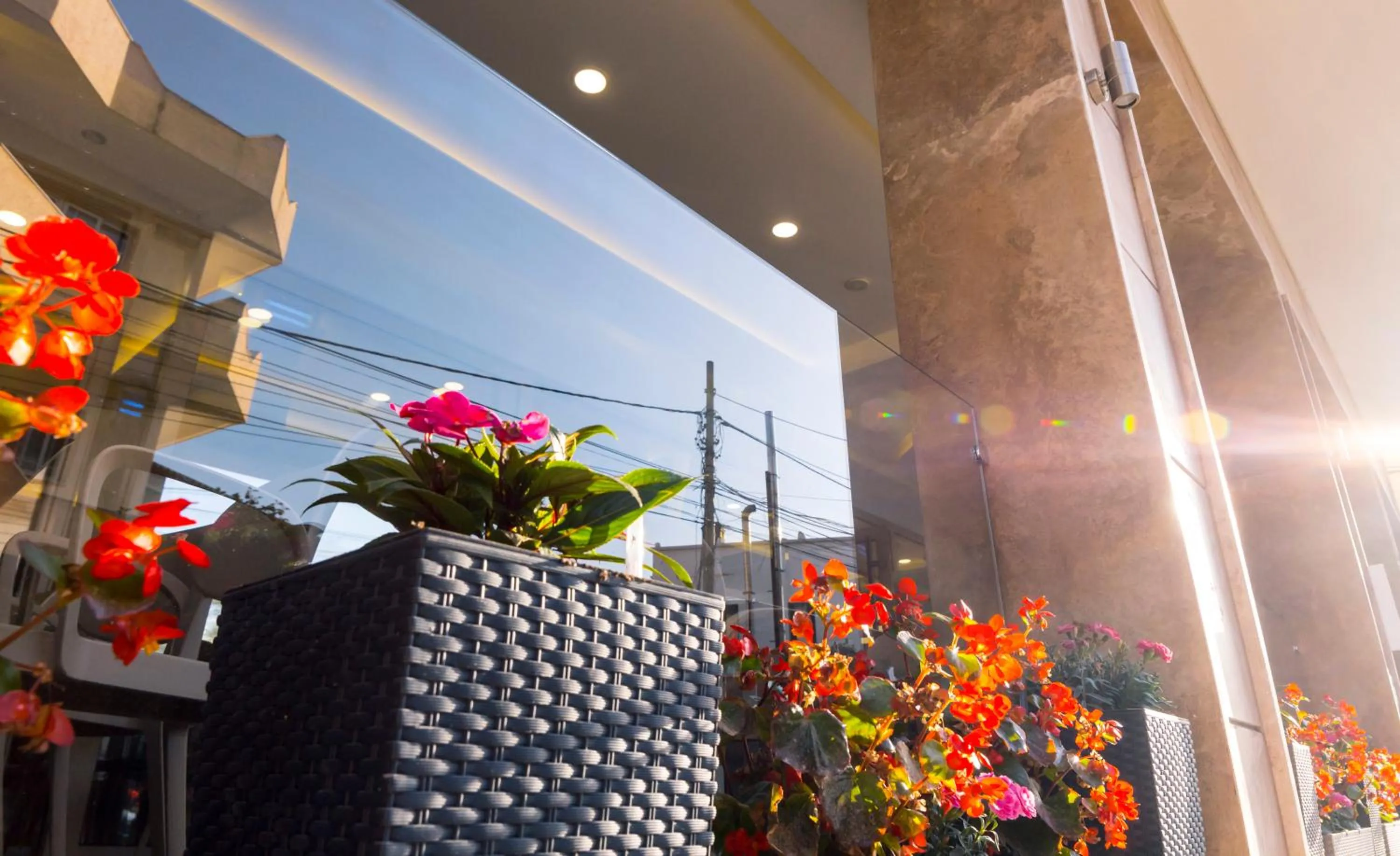 Lounge or bar in Hotel Pandora Residence