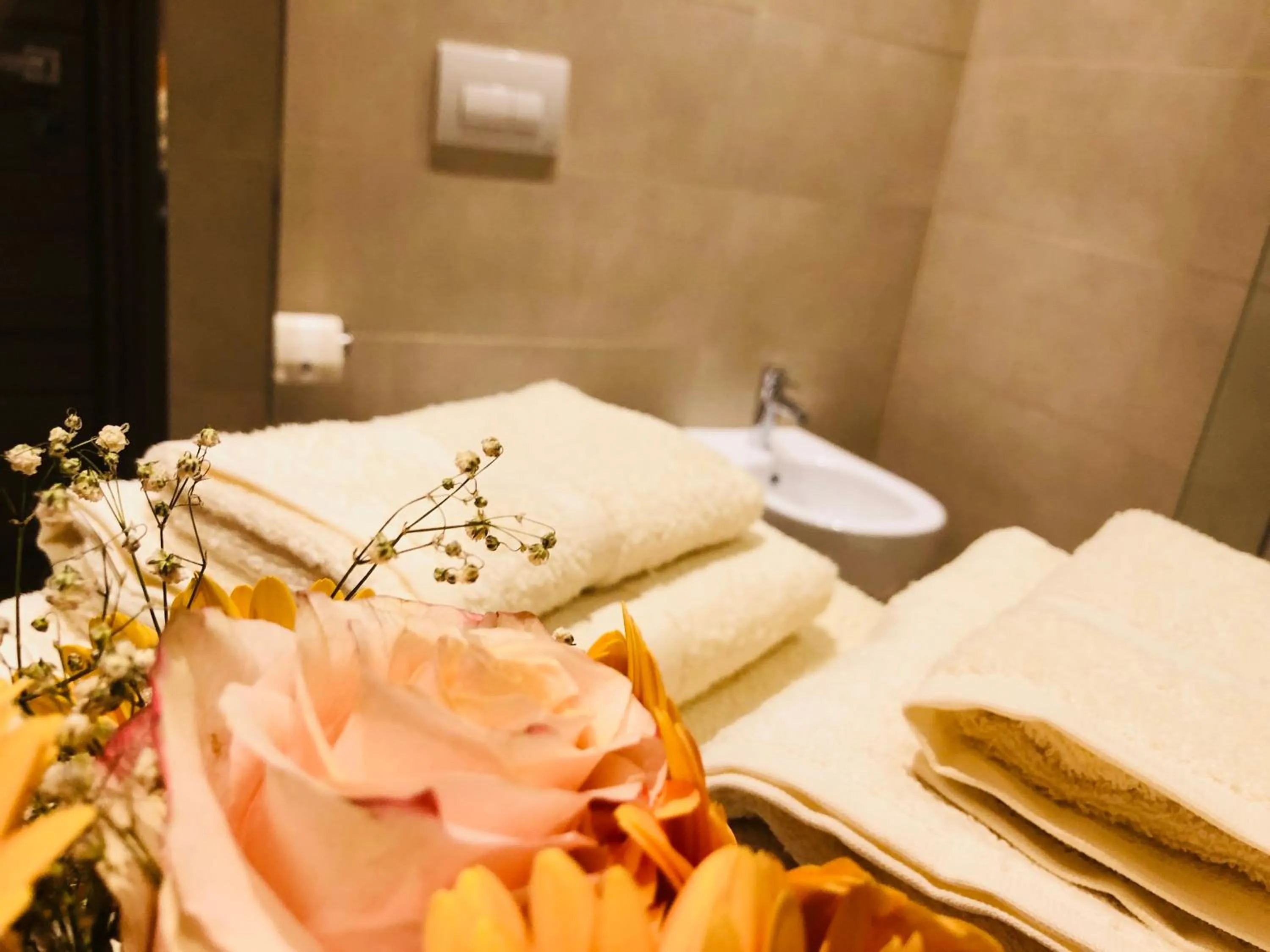 Bathroom in Il Feudo Di Agnadello