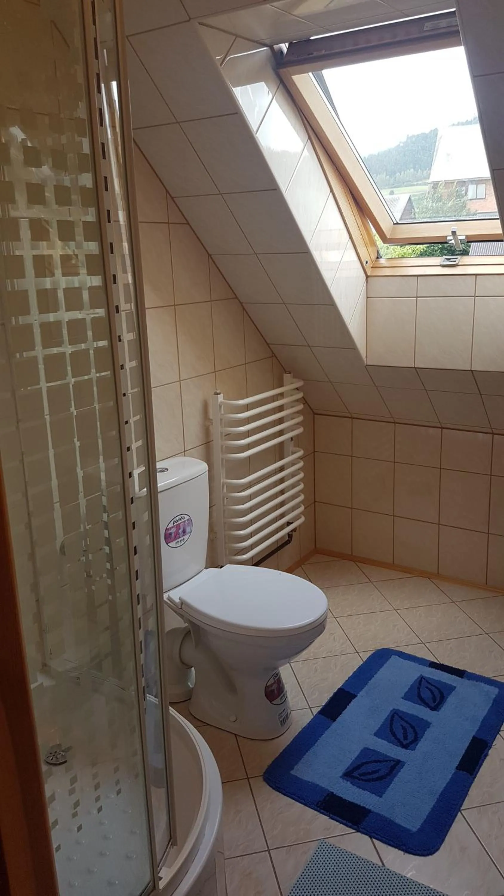 Shower in Pokoje Gościnne u Cześka