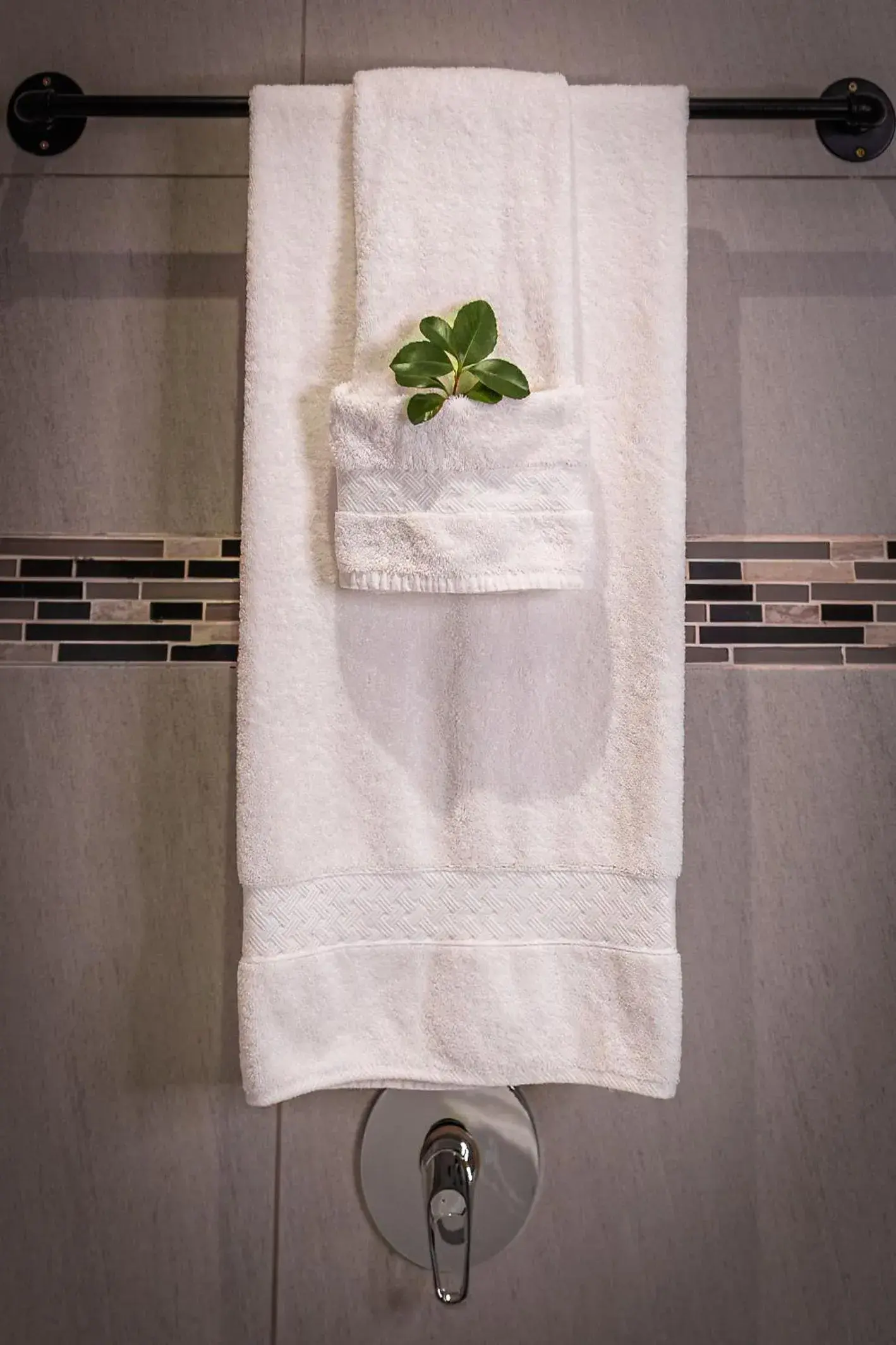 Deluxe Family Room in Telos at Reitz Deluxe Family Room in Telos at Reitz