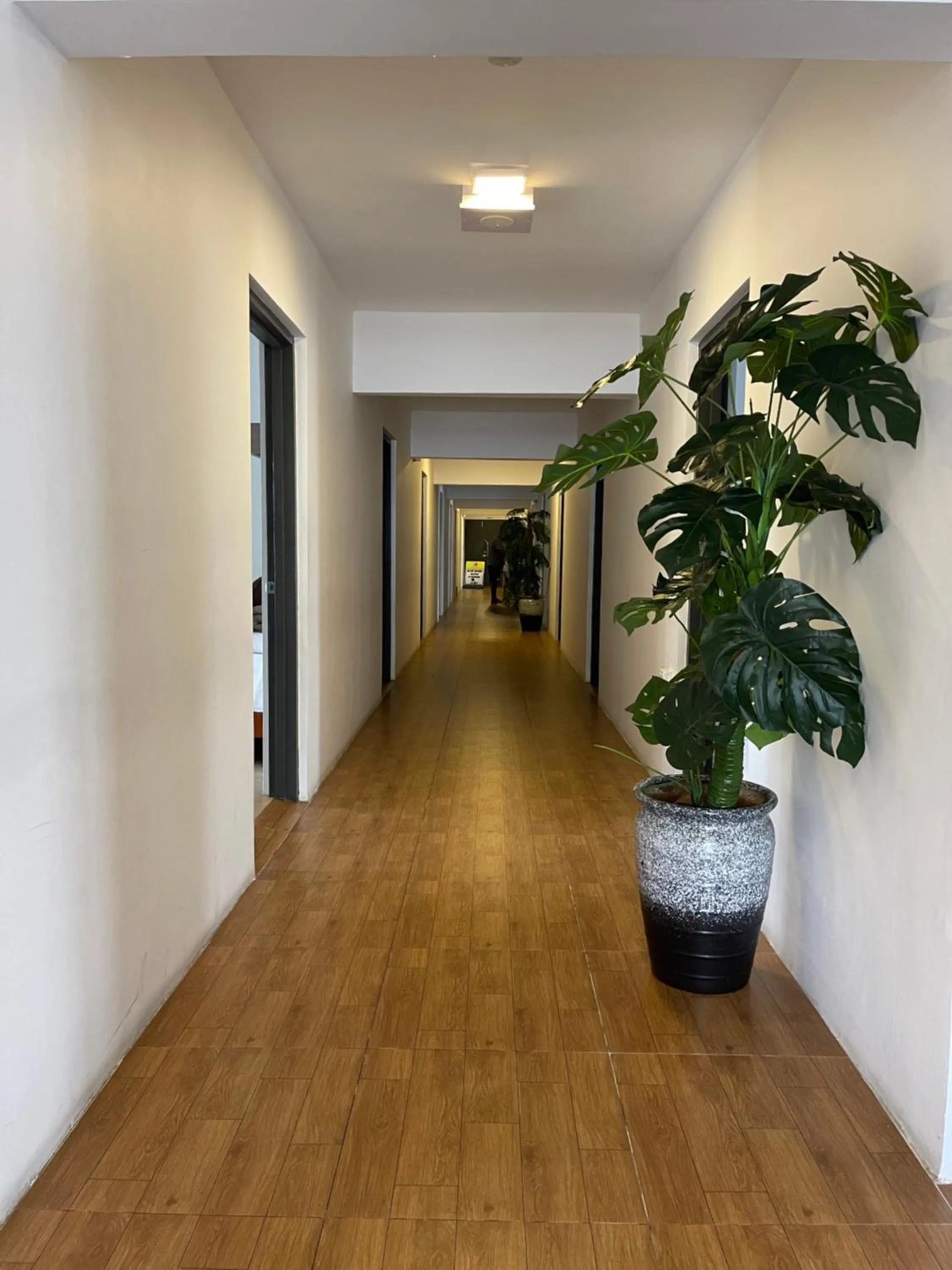 Property building in Island Accommodation Suva Premier Hospitality