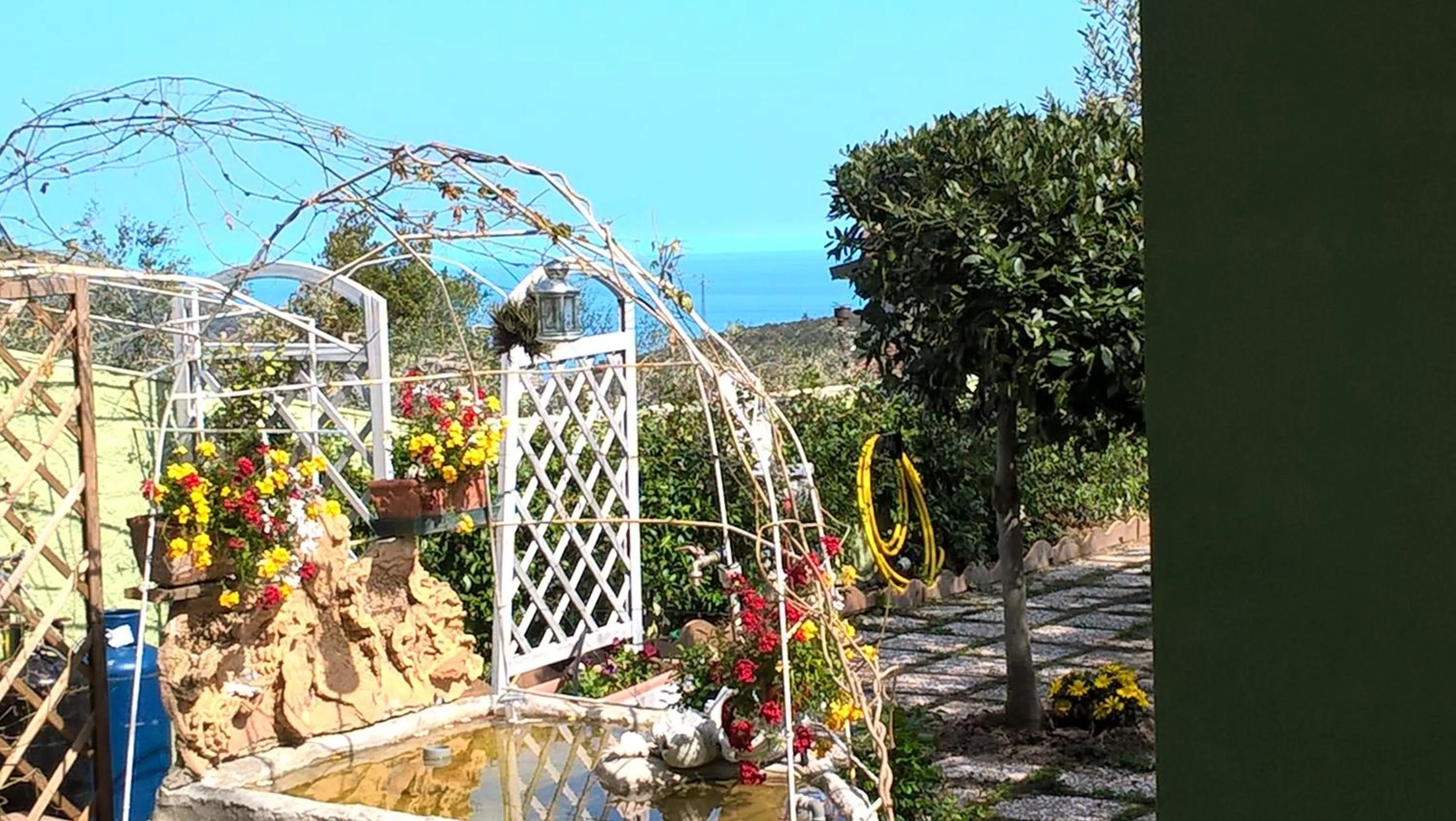 Garden in B&B Elfo degli Ulivi