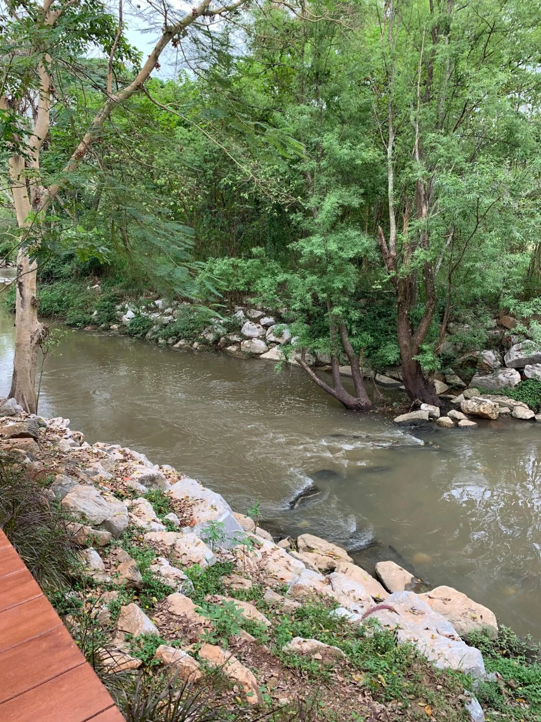 River view in Moosiyard Hometel Khaoyai