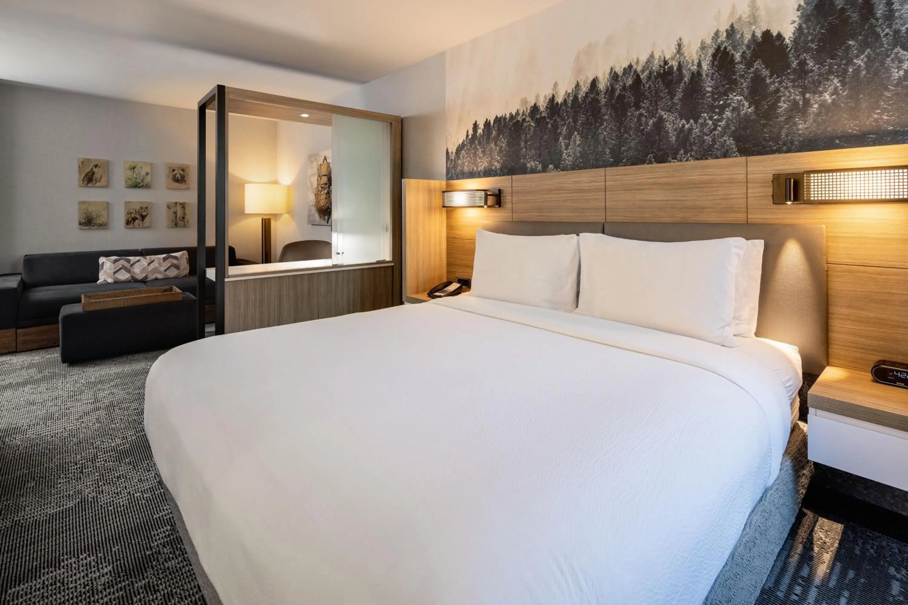 Photo of the whole room, Bed in SpringHill Suites by Marriott Jackson Hole