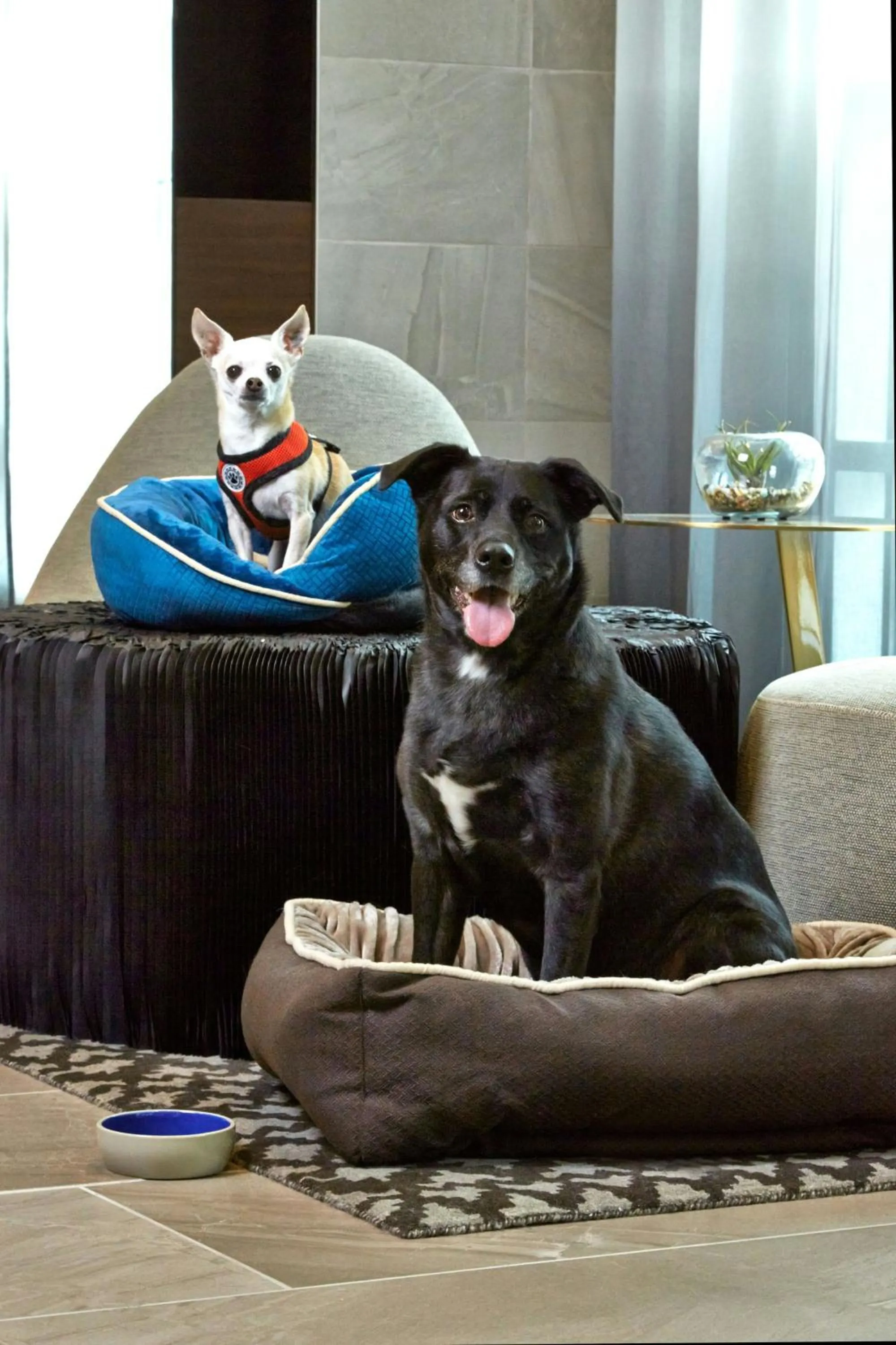 Other in AC Hotel by Marriott Portland Downtown, OR