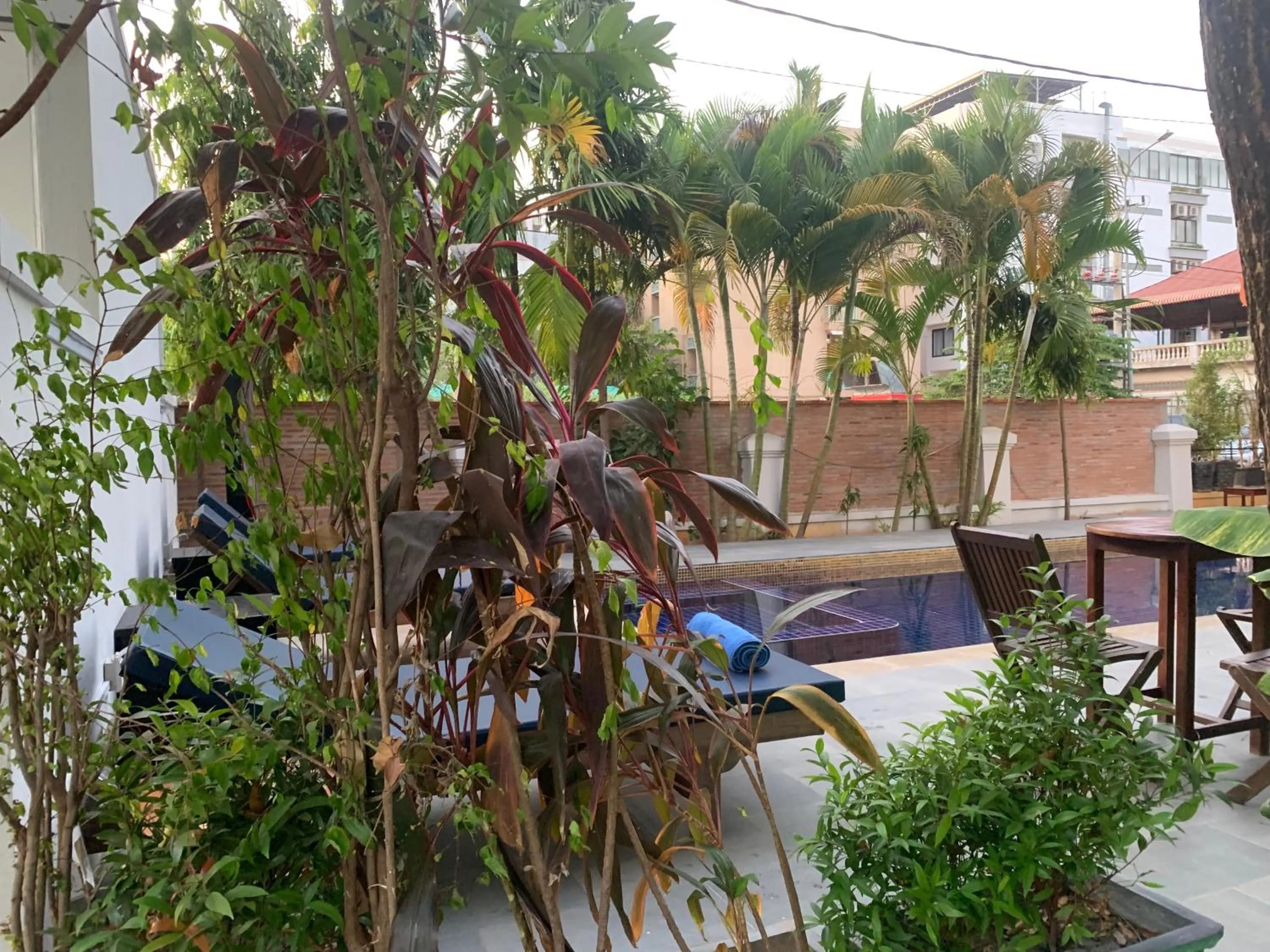 Garden in The One by Nika