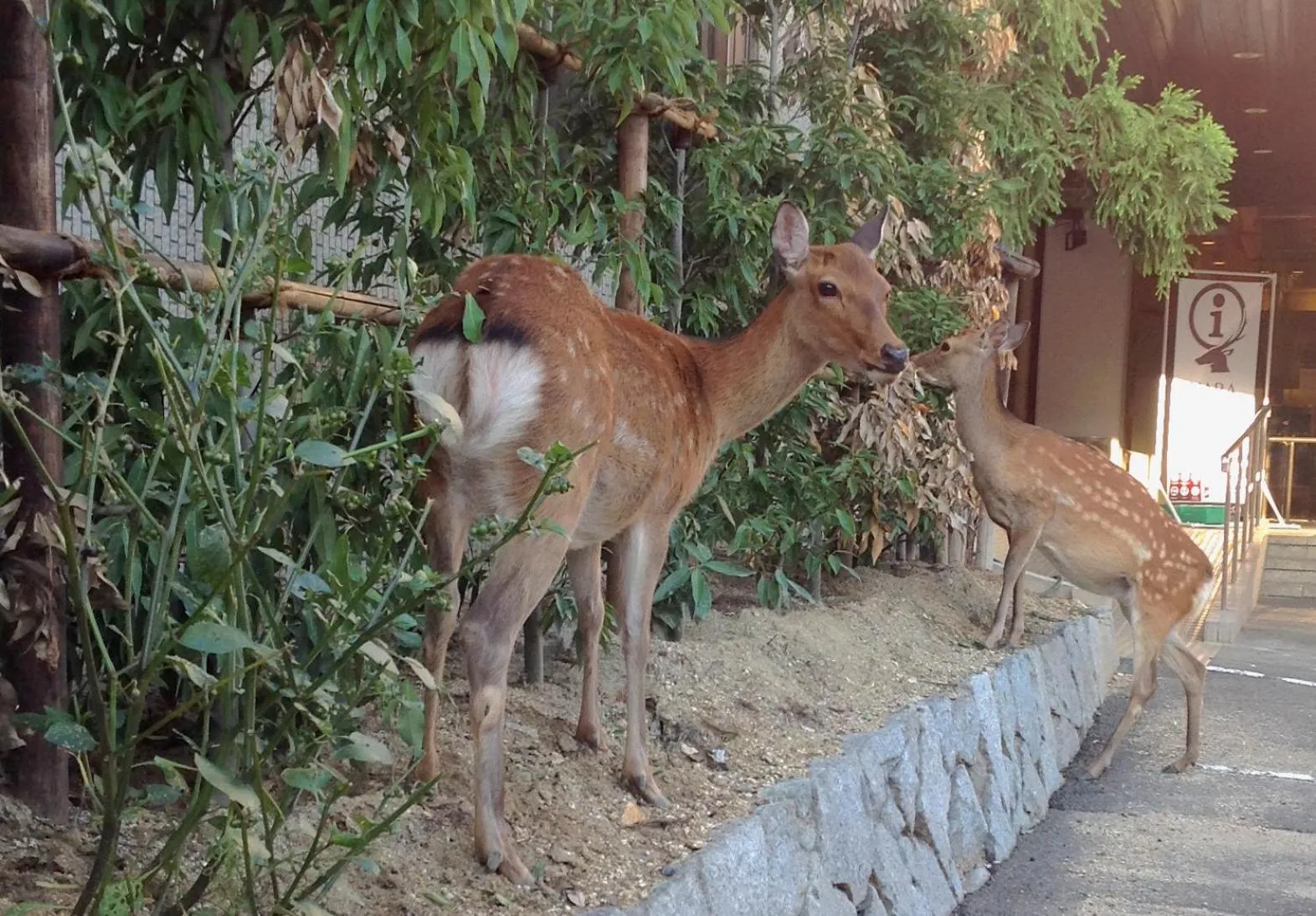 Property building in NARA Visitor Center and Inn