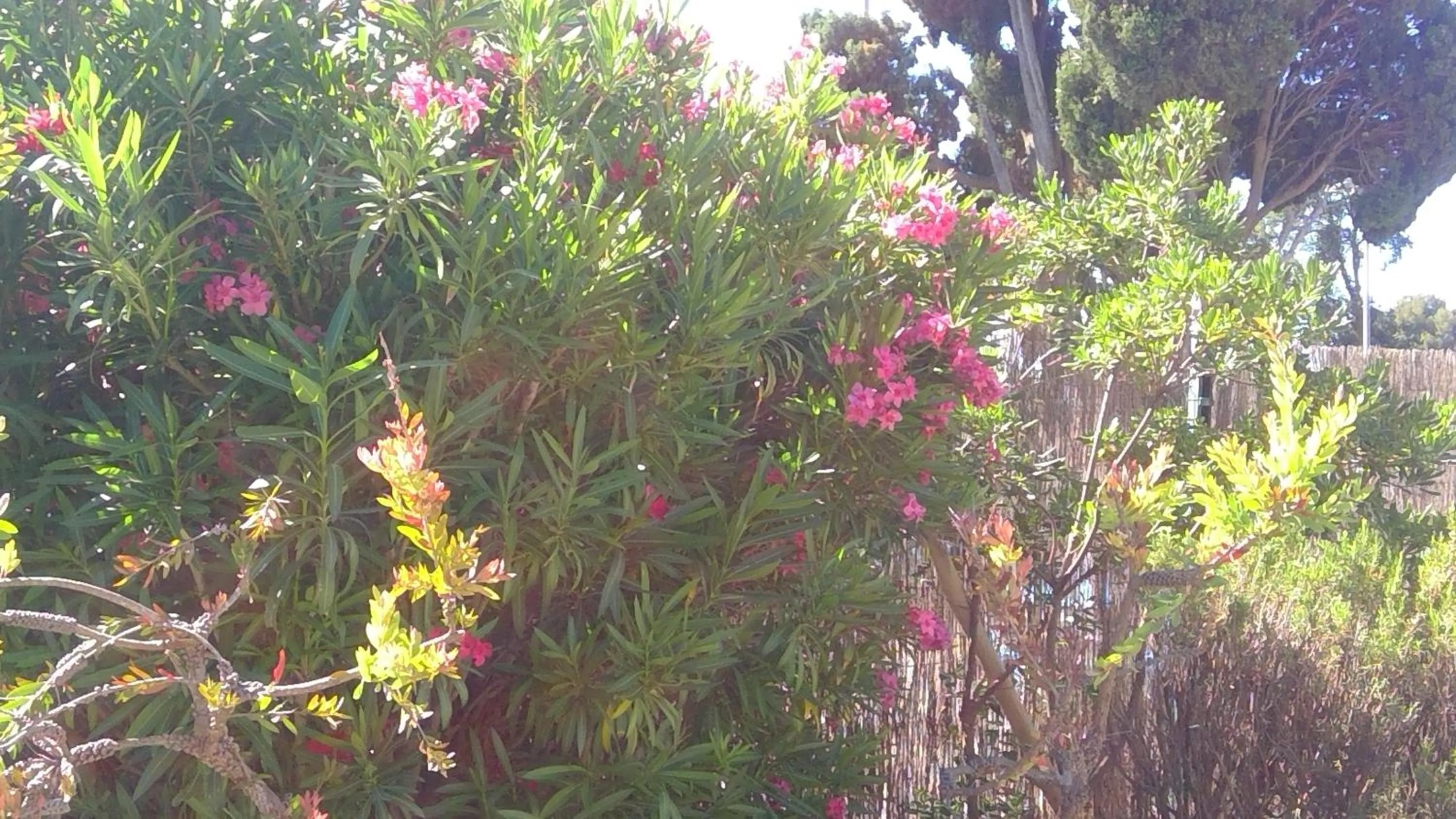 Decorative detail in B&B HOTEL Toulon Ollioules