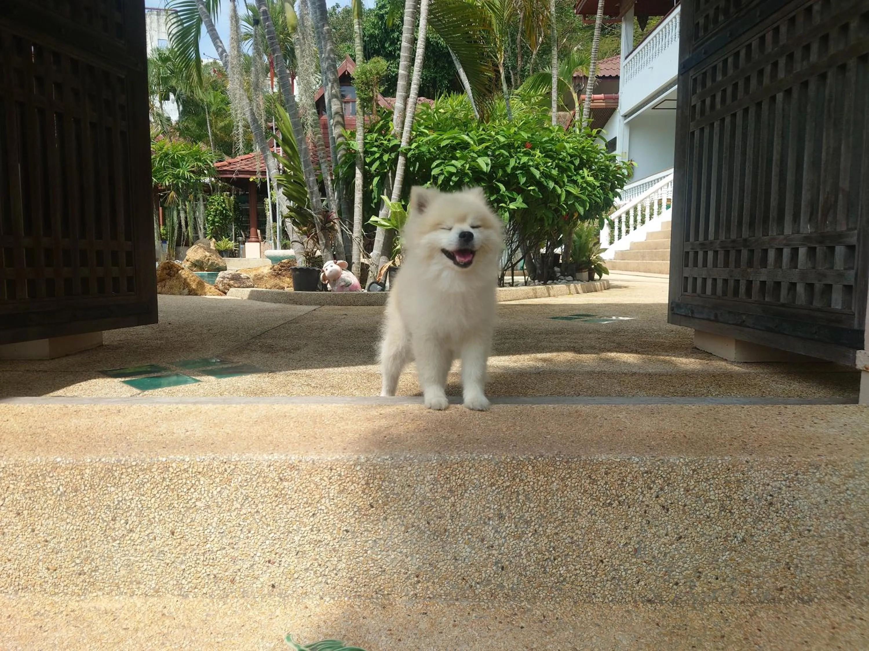 Facade/entrance in Samui Little Garden Resort
