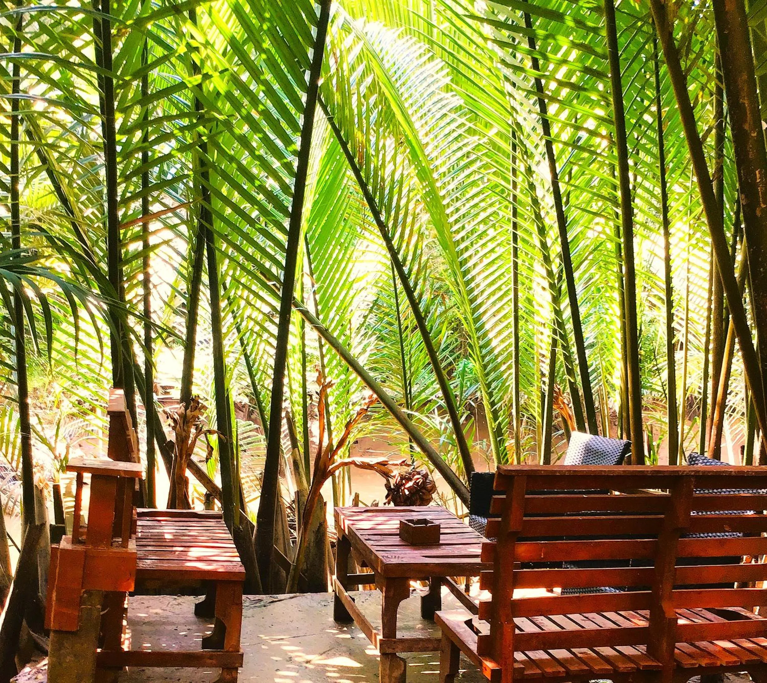 Neighbourhood in Ben Tre Farm Stay