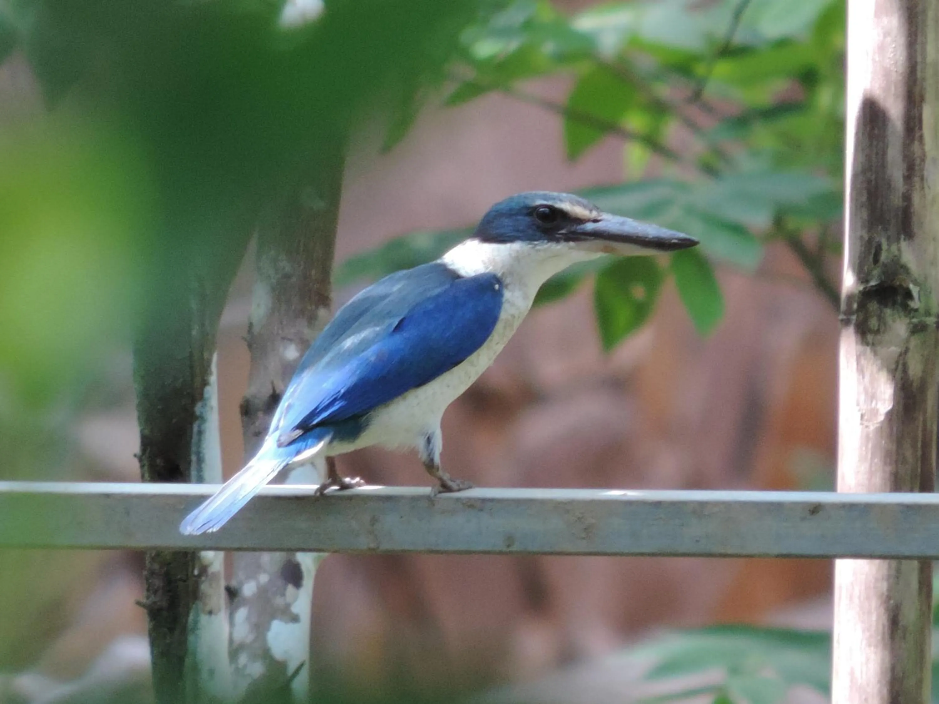 Day in Ben Tre Farm Stay