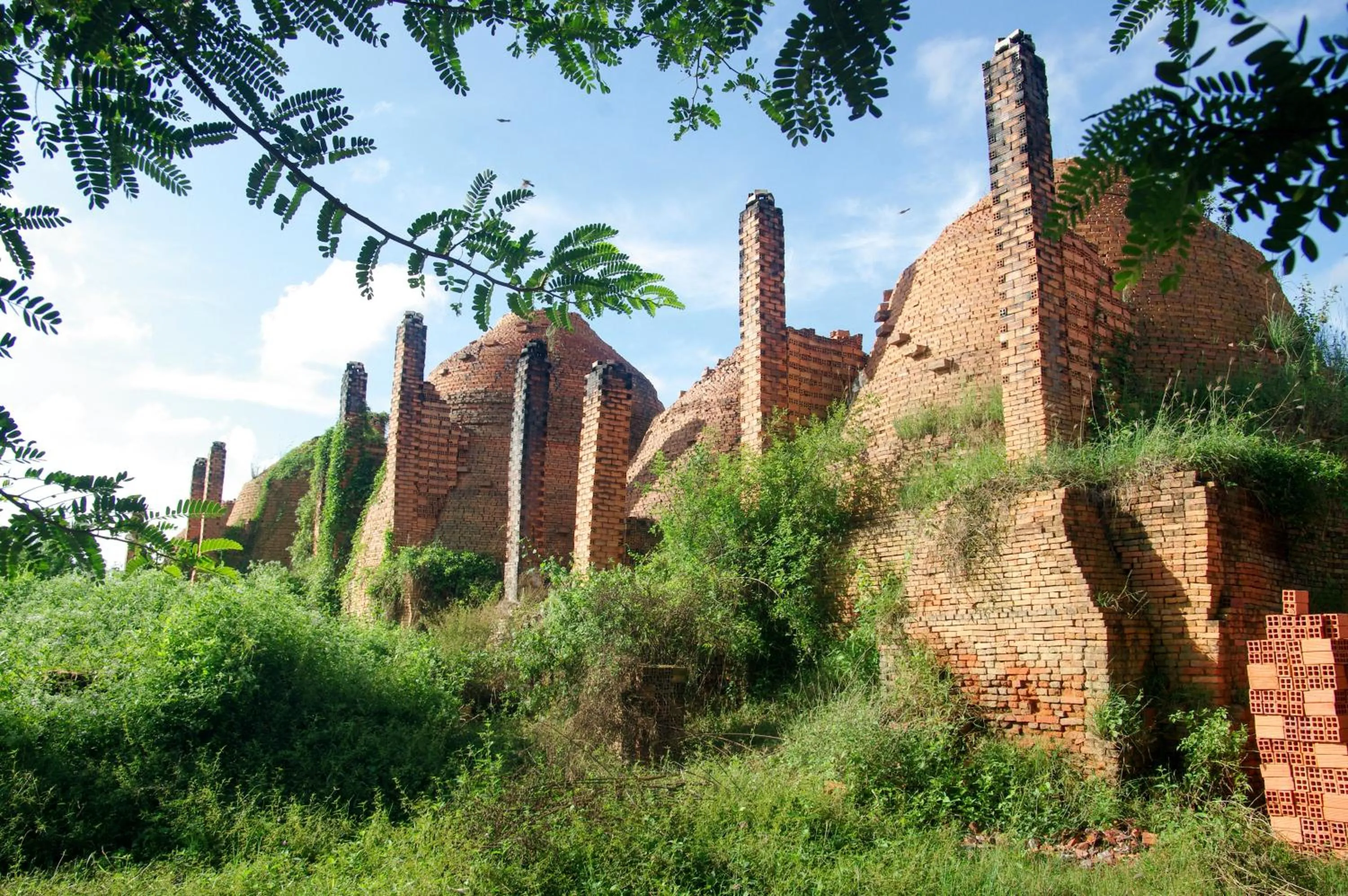 Activities in Ben Tre Farm Stay
