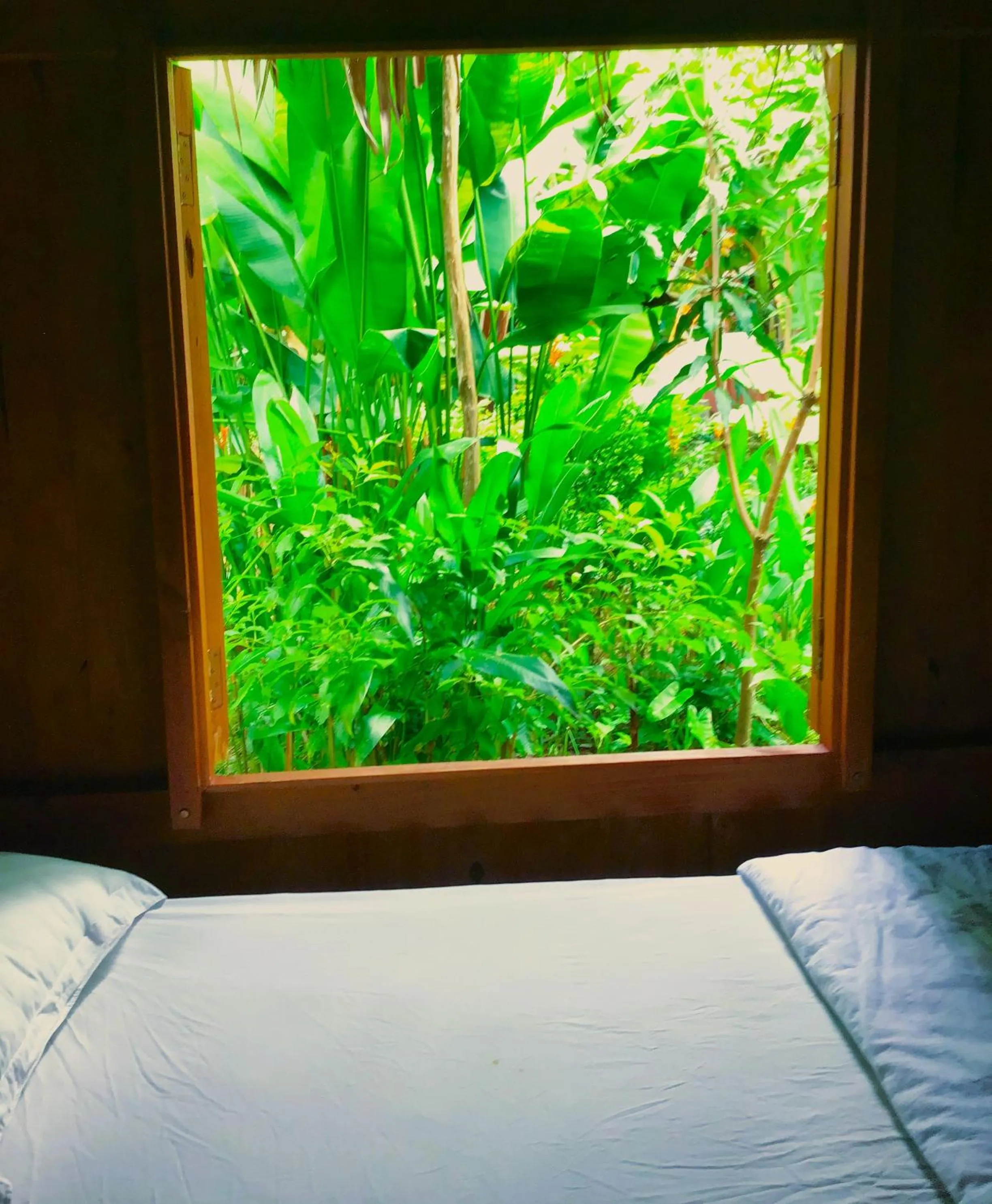 Bedroom, Bed in Ben Tre Farm Stay