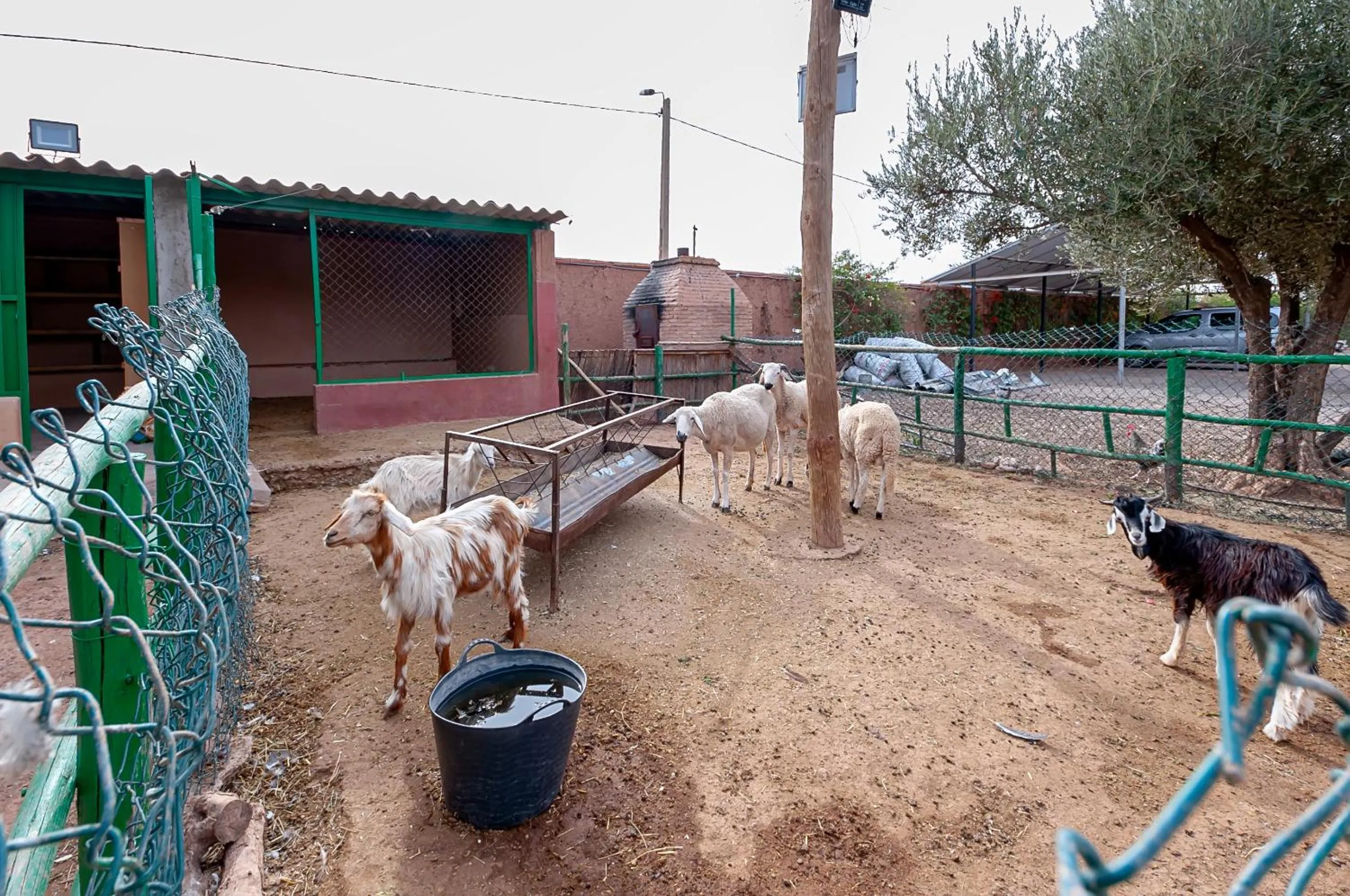 Day in Ferme Sidi Safou & Spa