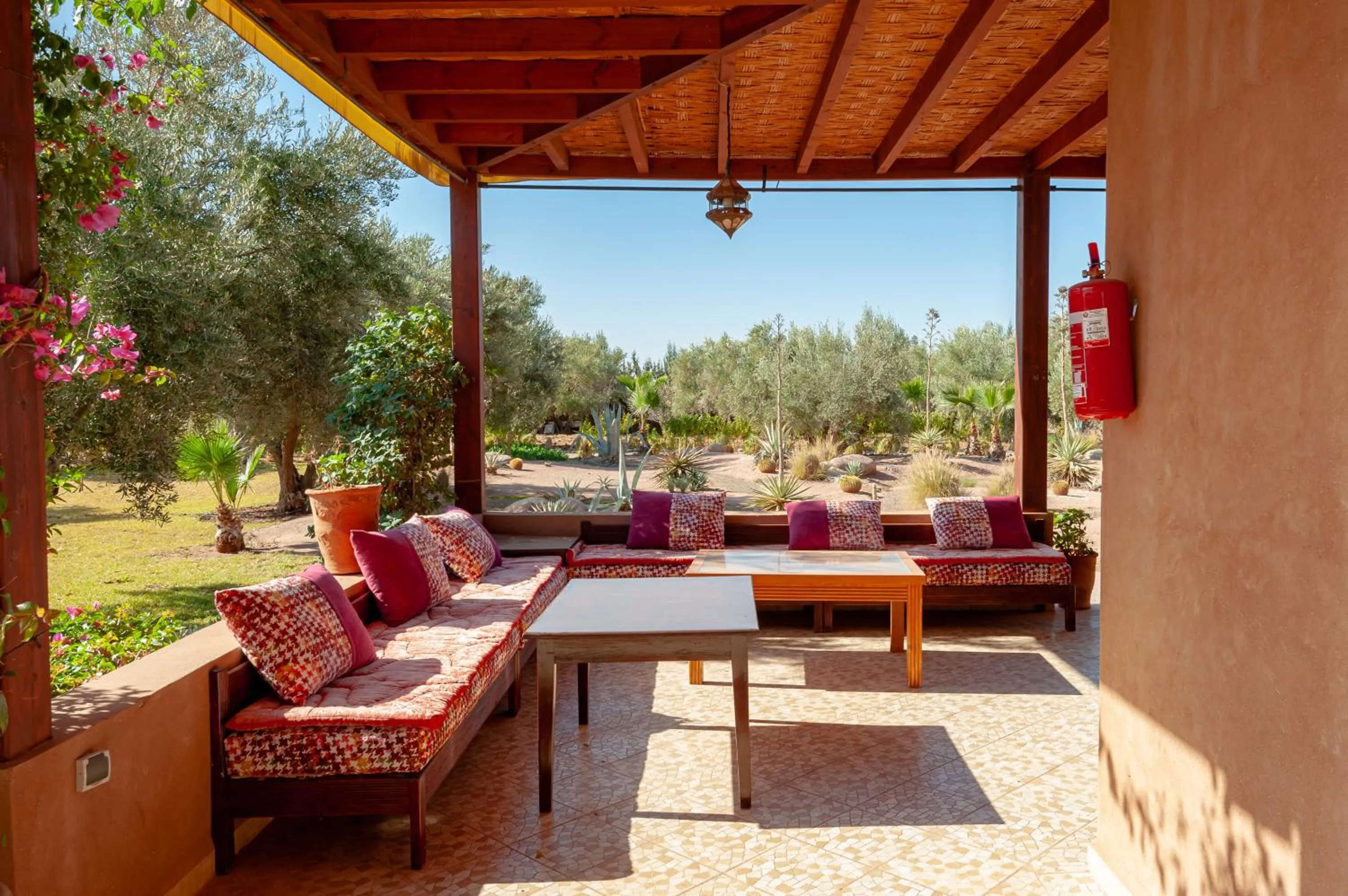 View (from property/room) in Ferme Sidi Safou & Spa