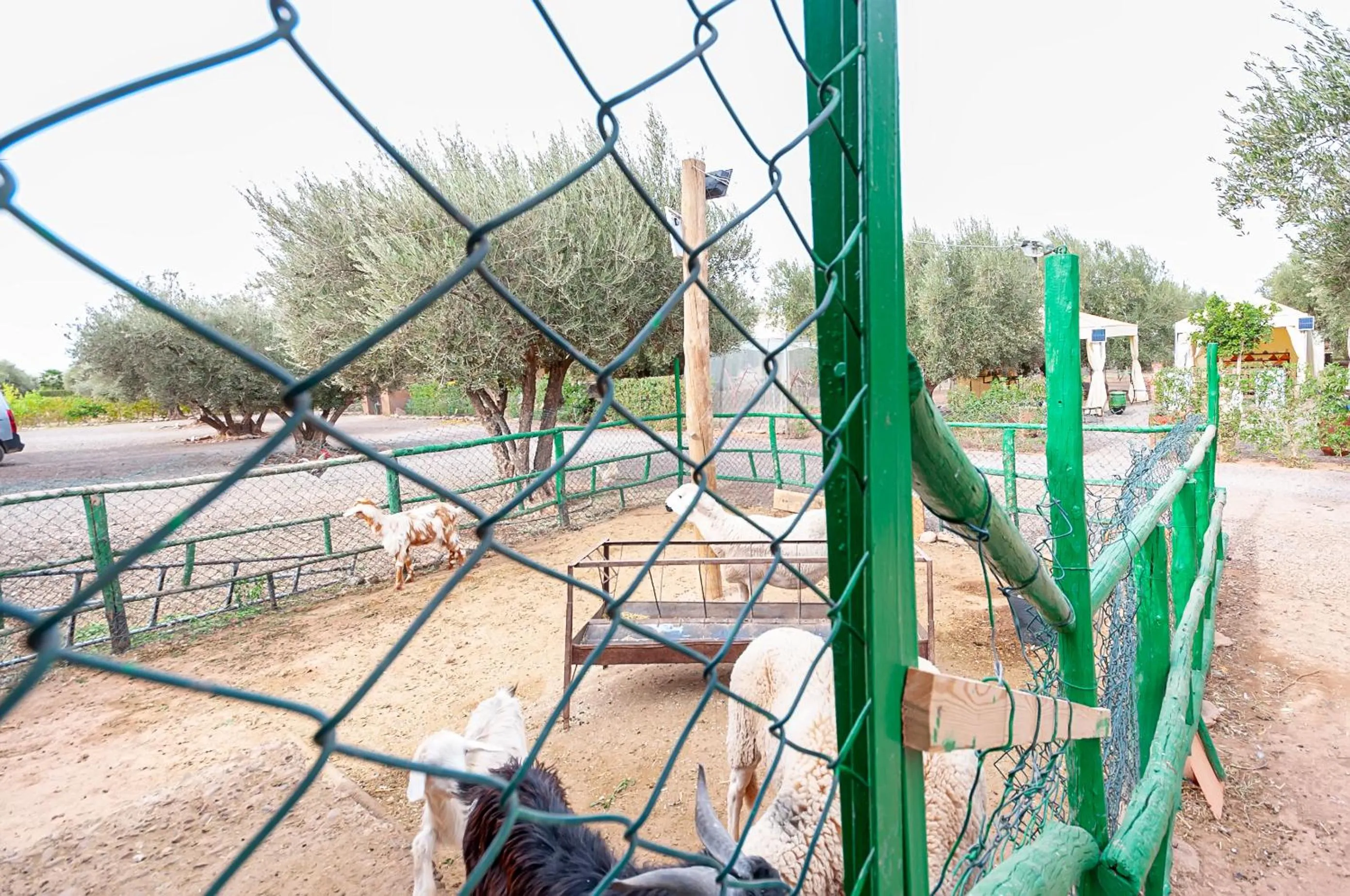 Day in Ferme Sidi Safou & Spa