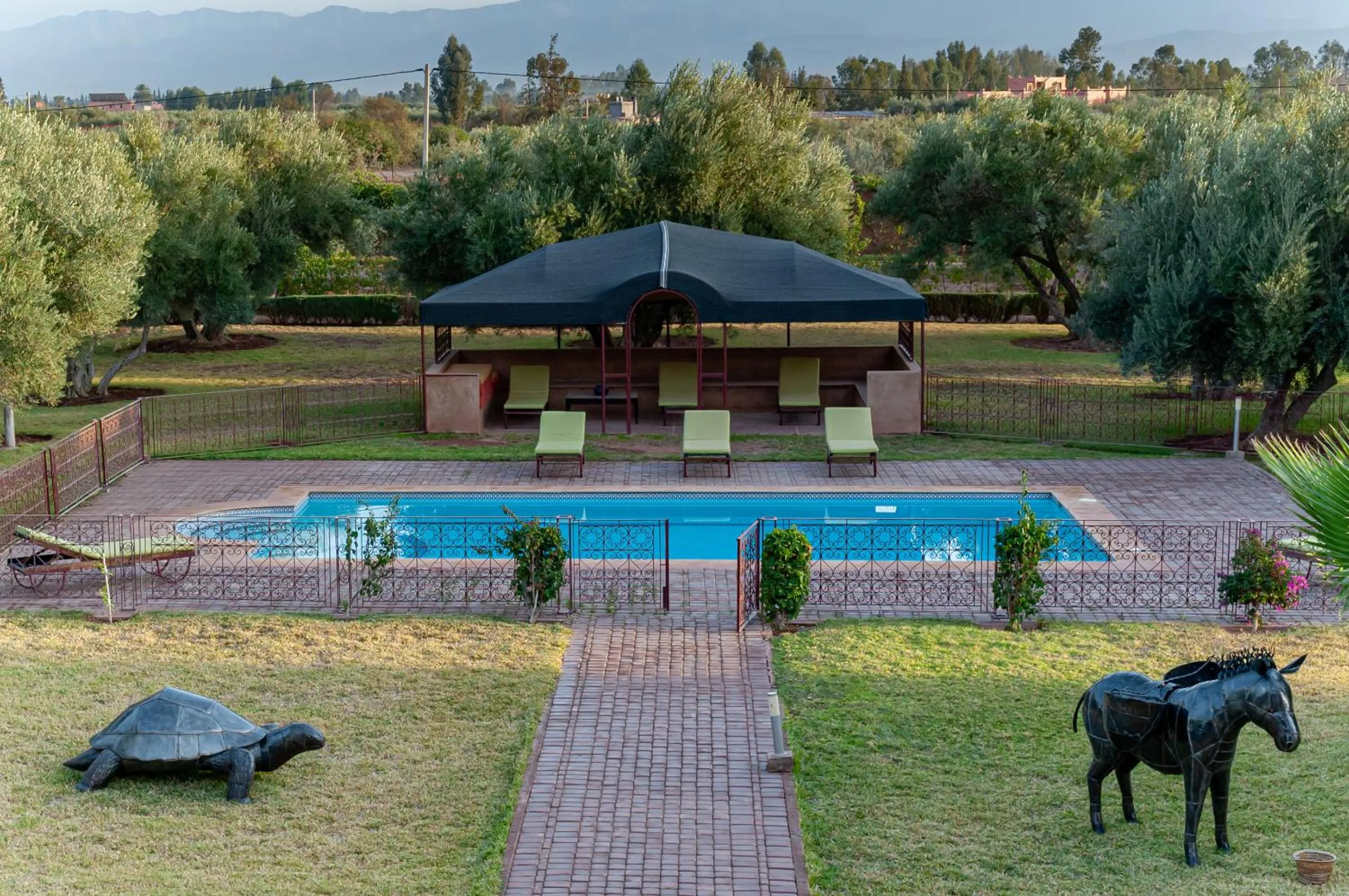 Spring in Ferme Sidi Safou & Spa