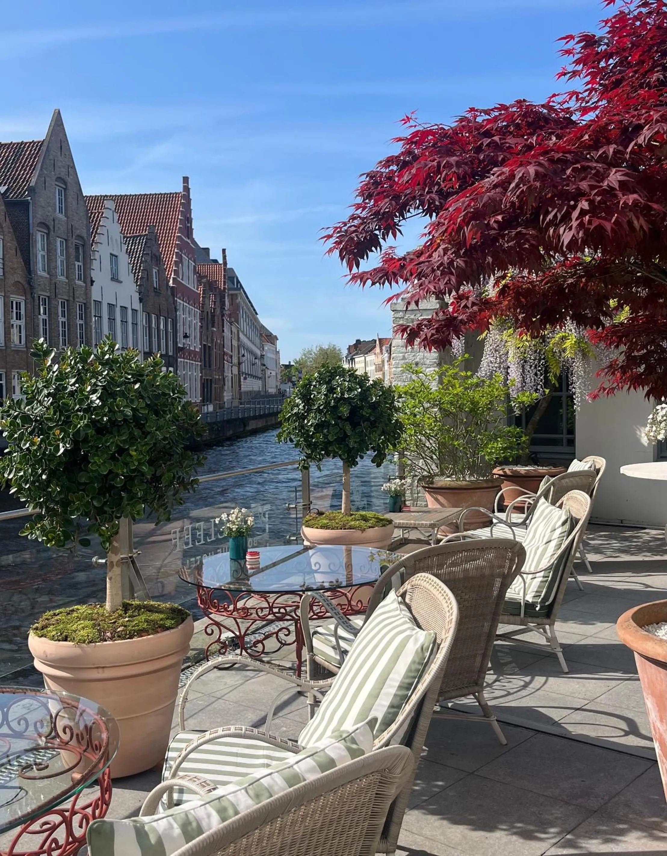 Balcony/Terrace in Hotel Van Cleef