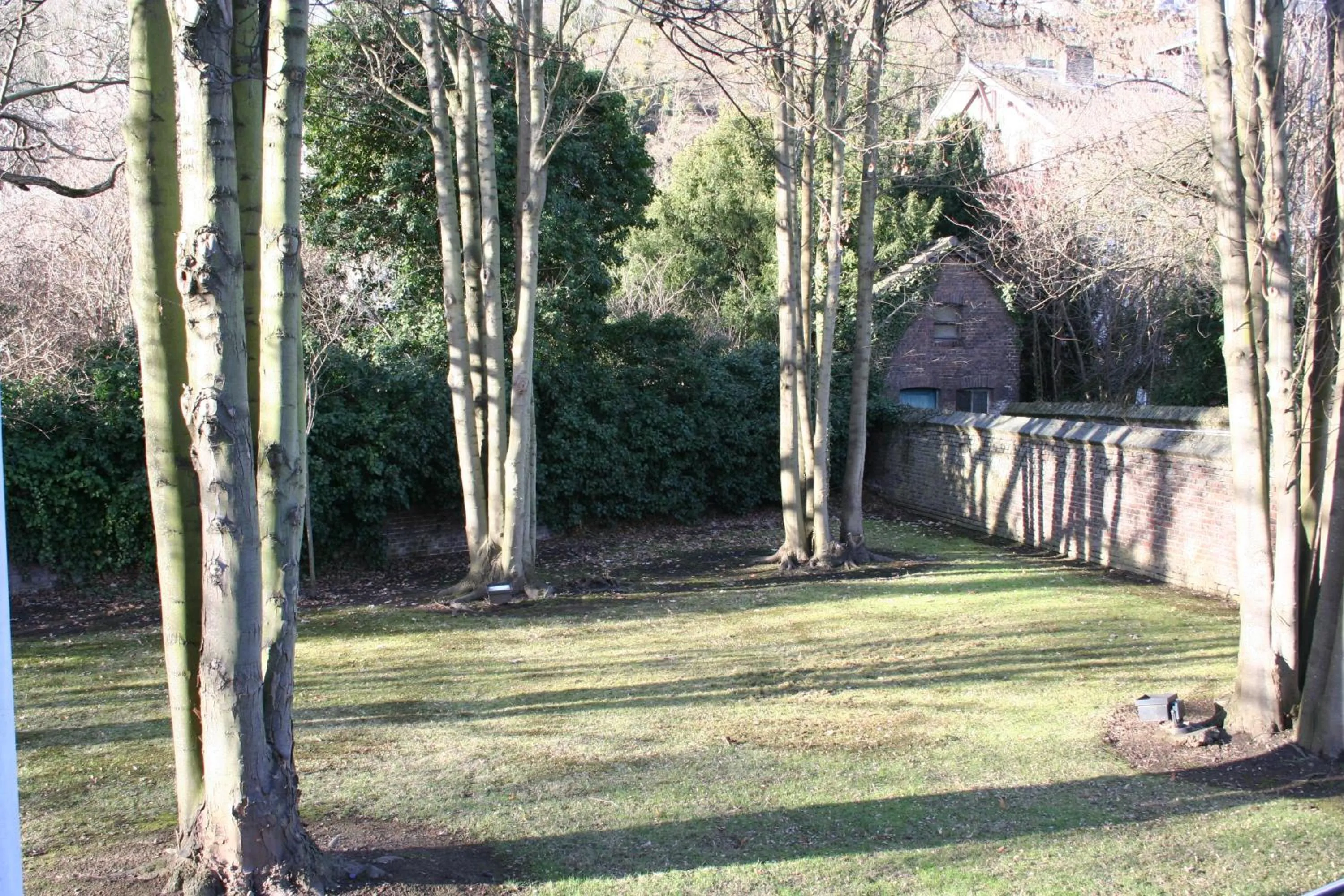 Garden view in Hotel Sirius
