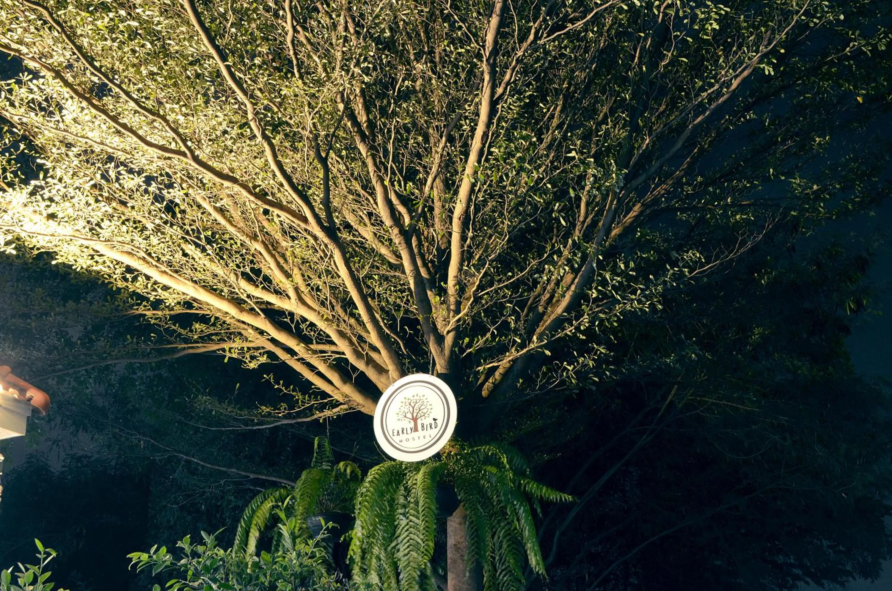 Property logo or sign in Early Bird Hostel Ayutthaya