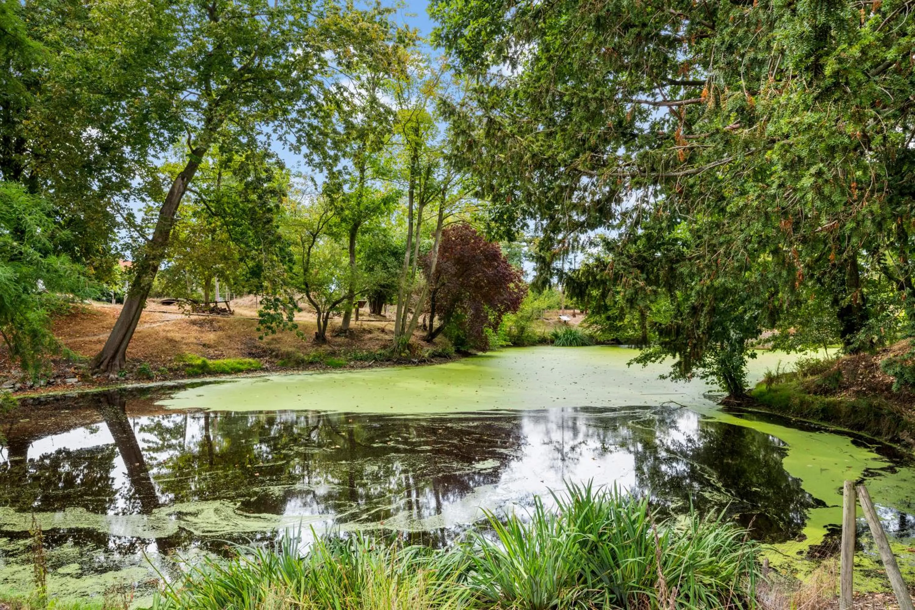 Hotel Kasteelhof 'T Hooghe