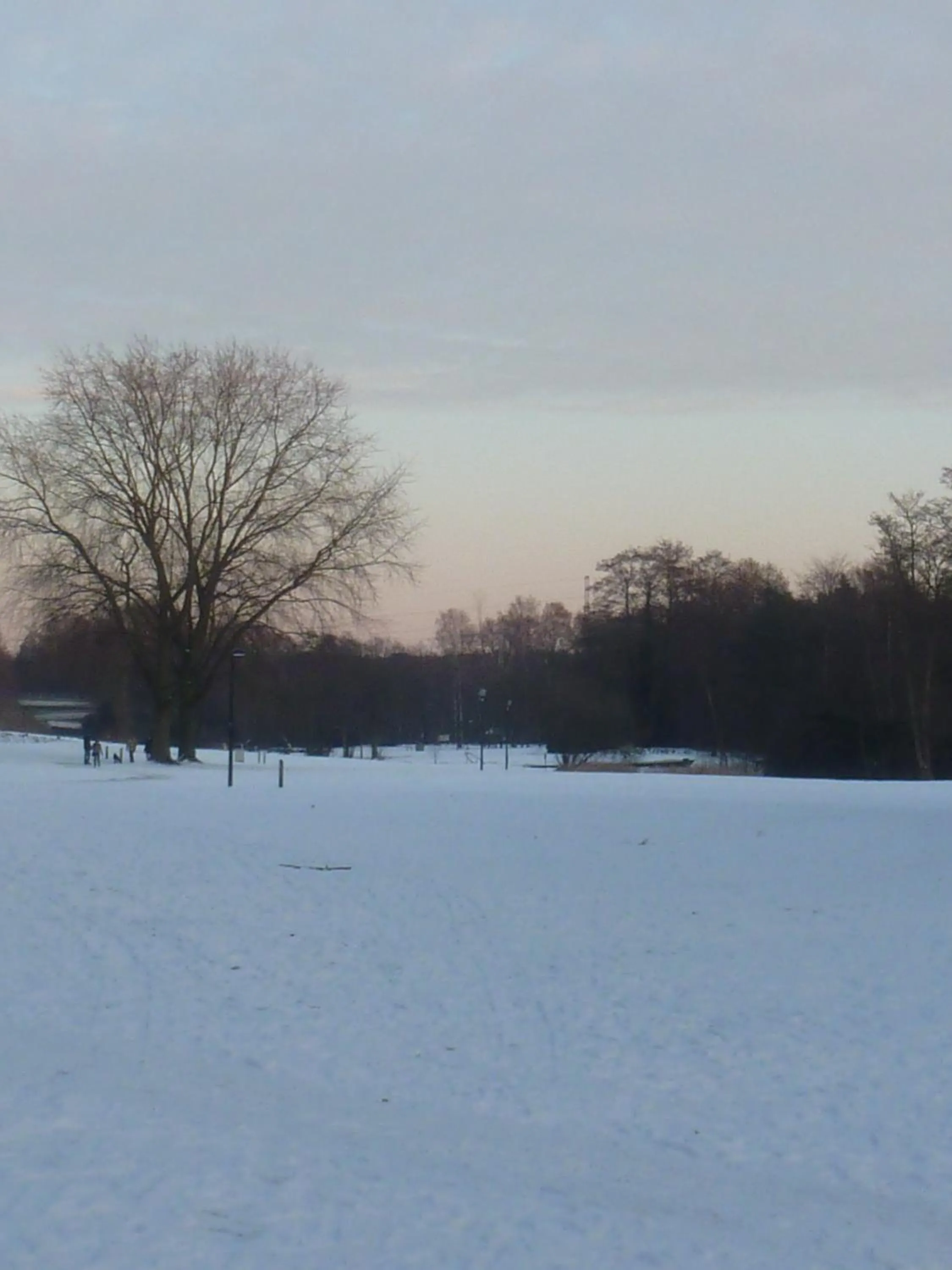 Other in Hotel 'T Hert