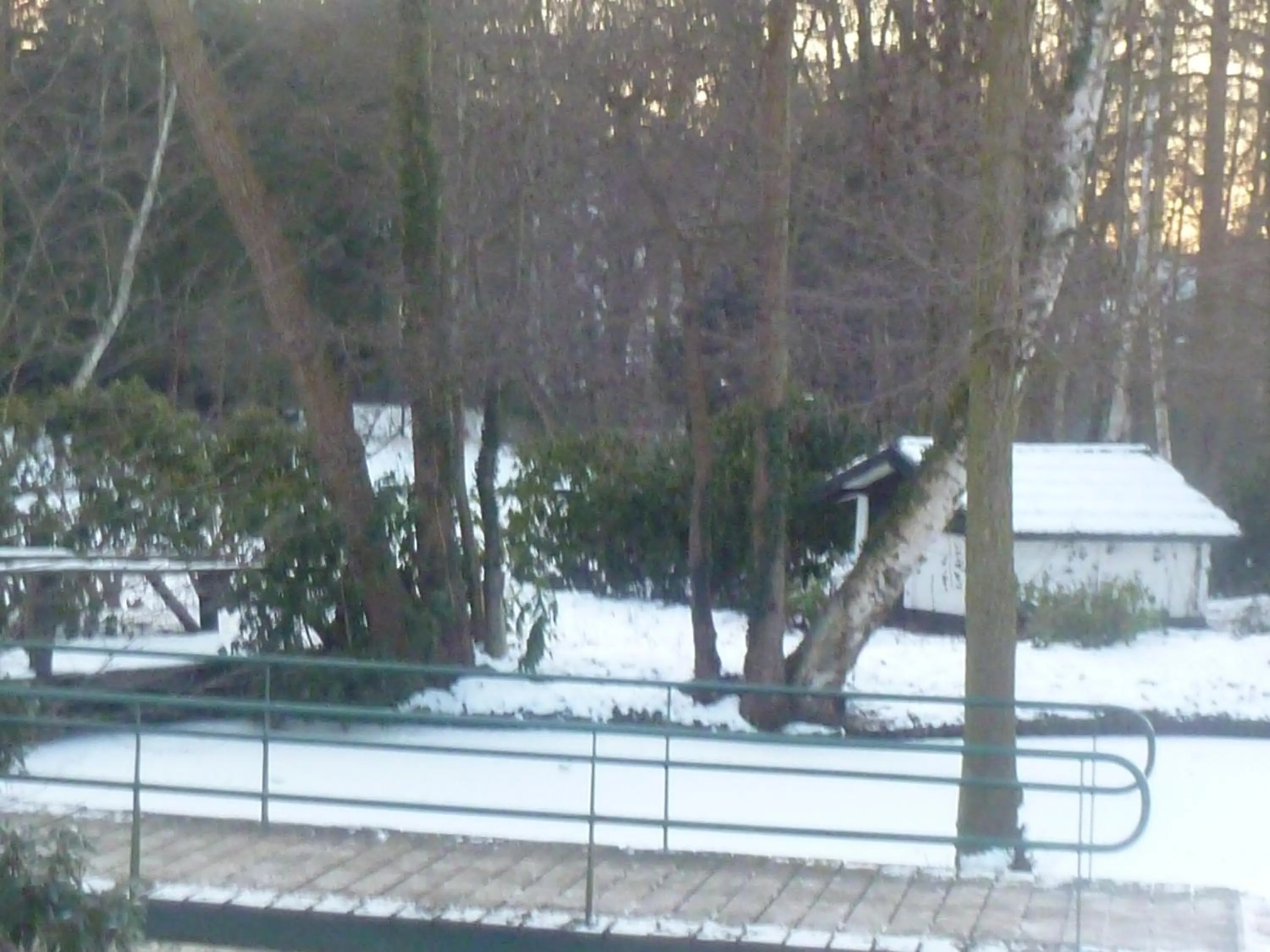 Nearby landmark in Hotel 'T Hert