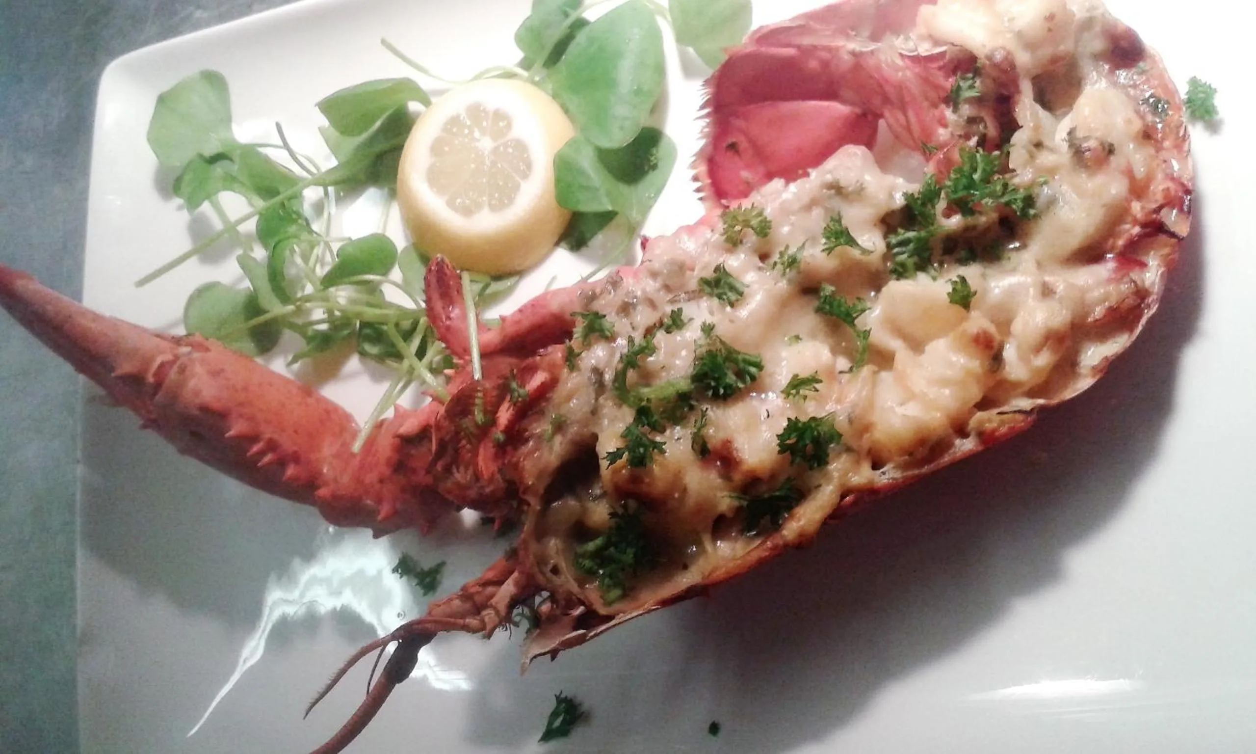 Restaurant/places to eat in Hotel 'T Hert