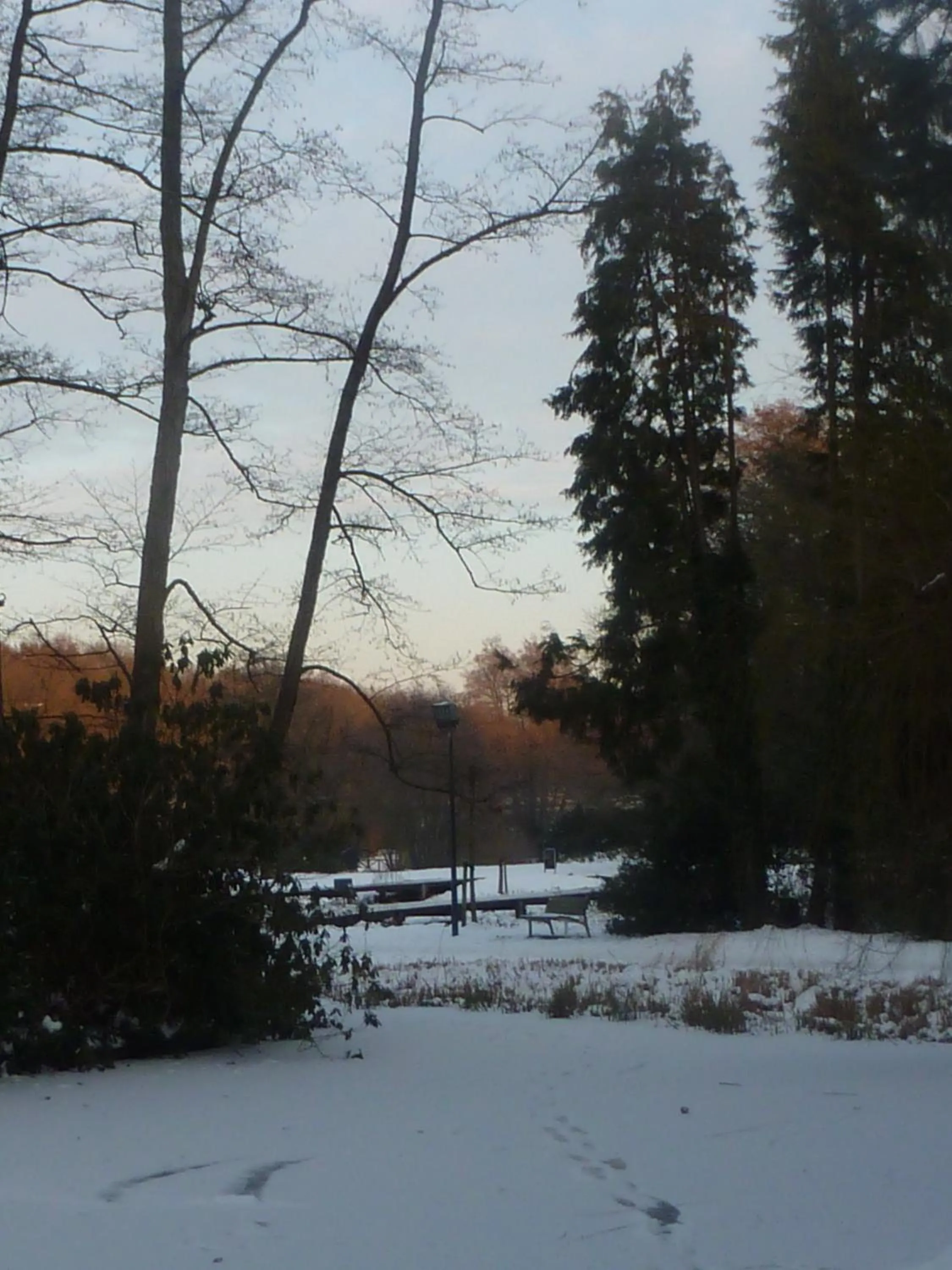 Nearby landmark in Hotel 'T Hert