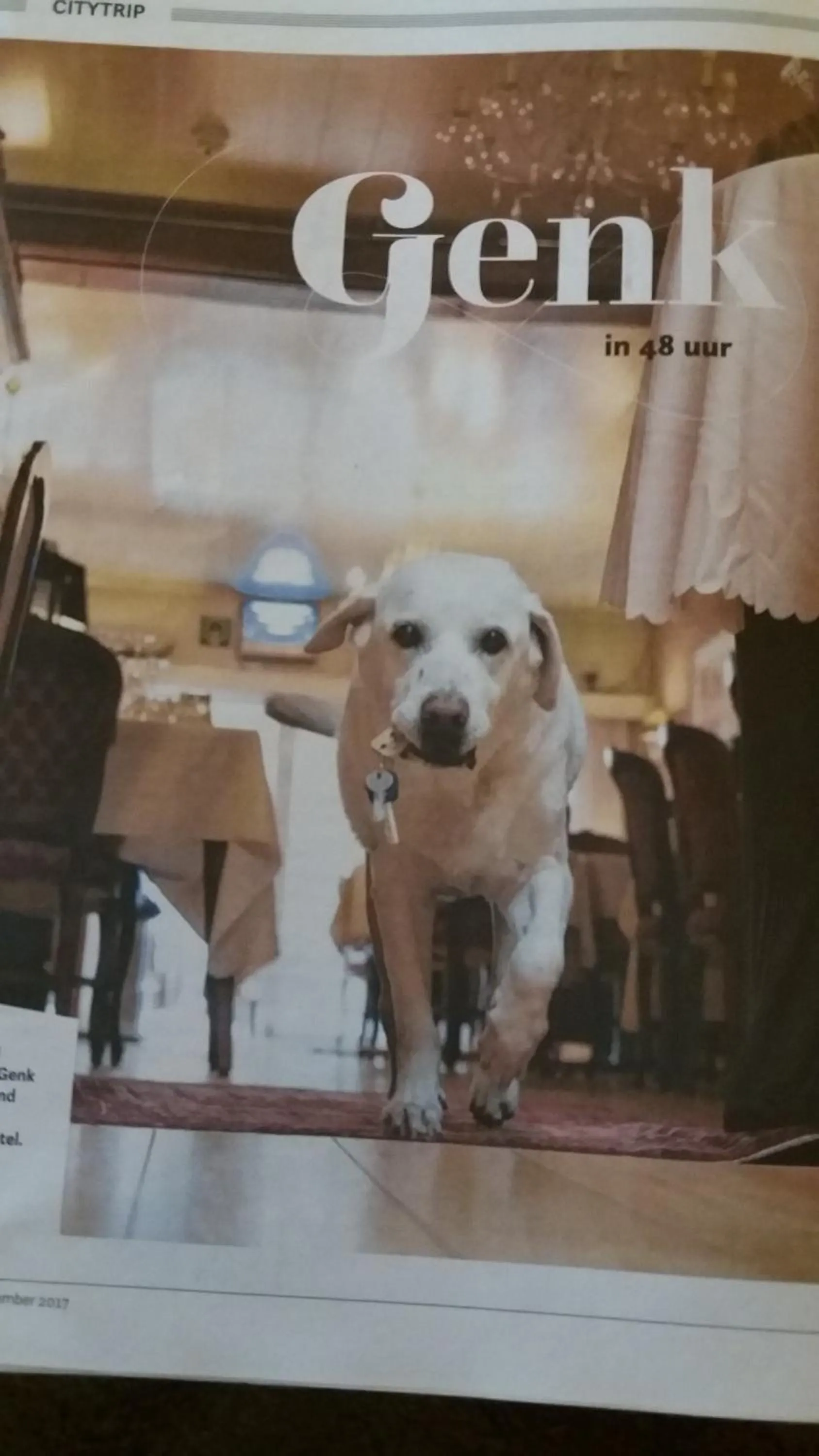 Property building in Hotel 'T Hert