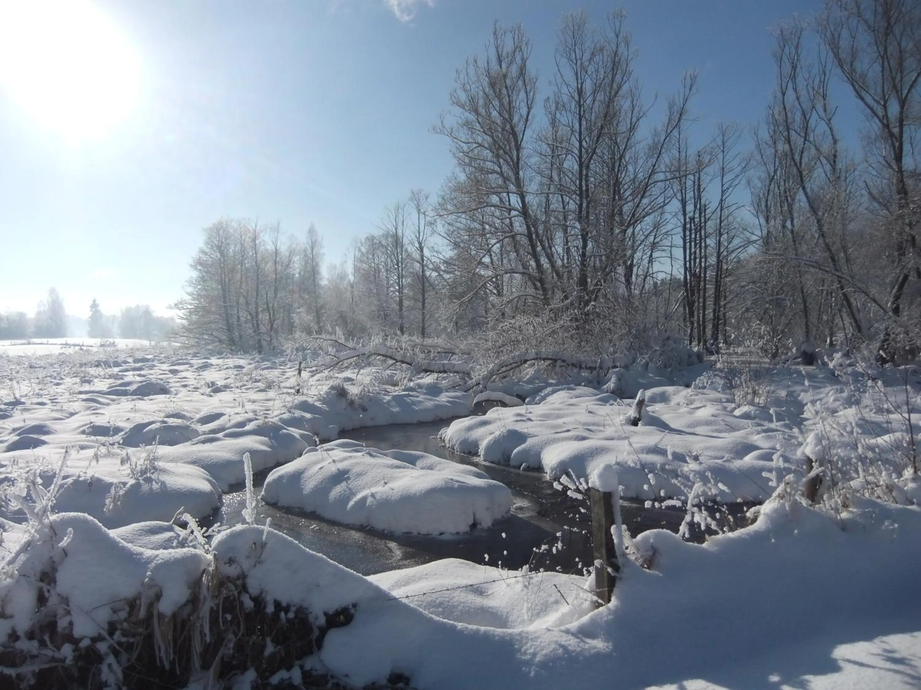 Natural landscape in Relax-Hotel Pip-Margraff