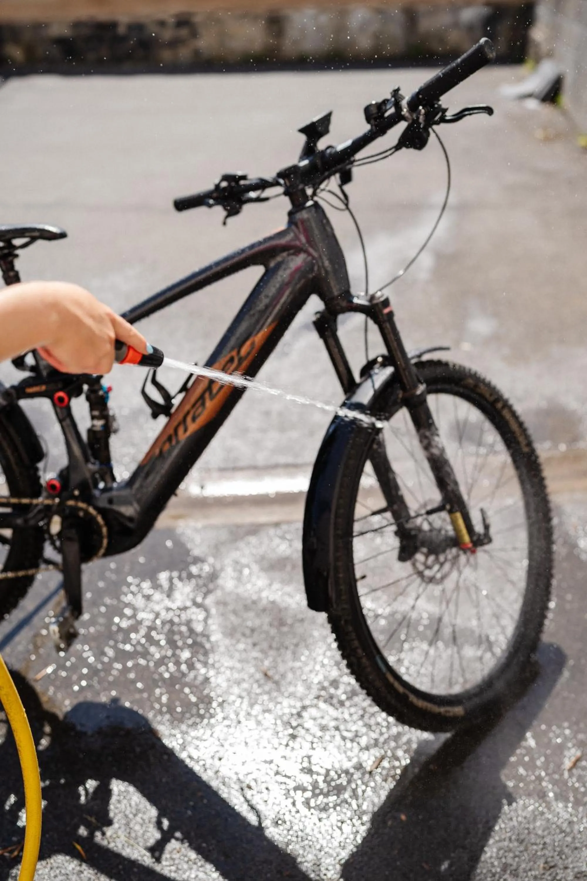 Cycling in Relax-Hotel Pip-Margraff