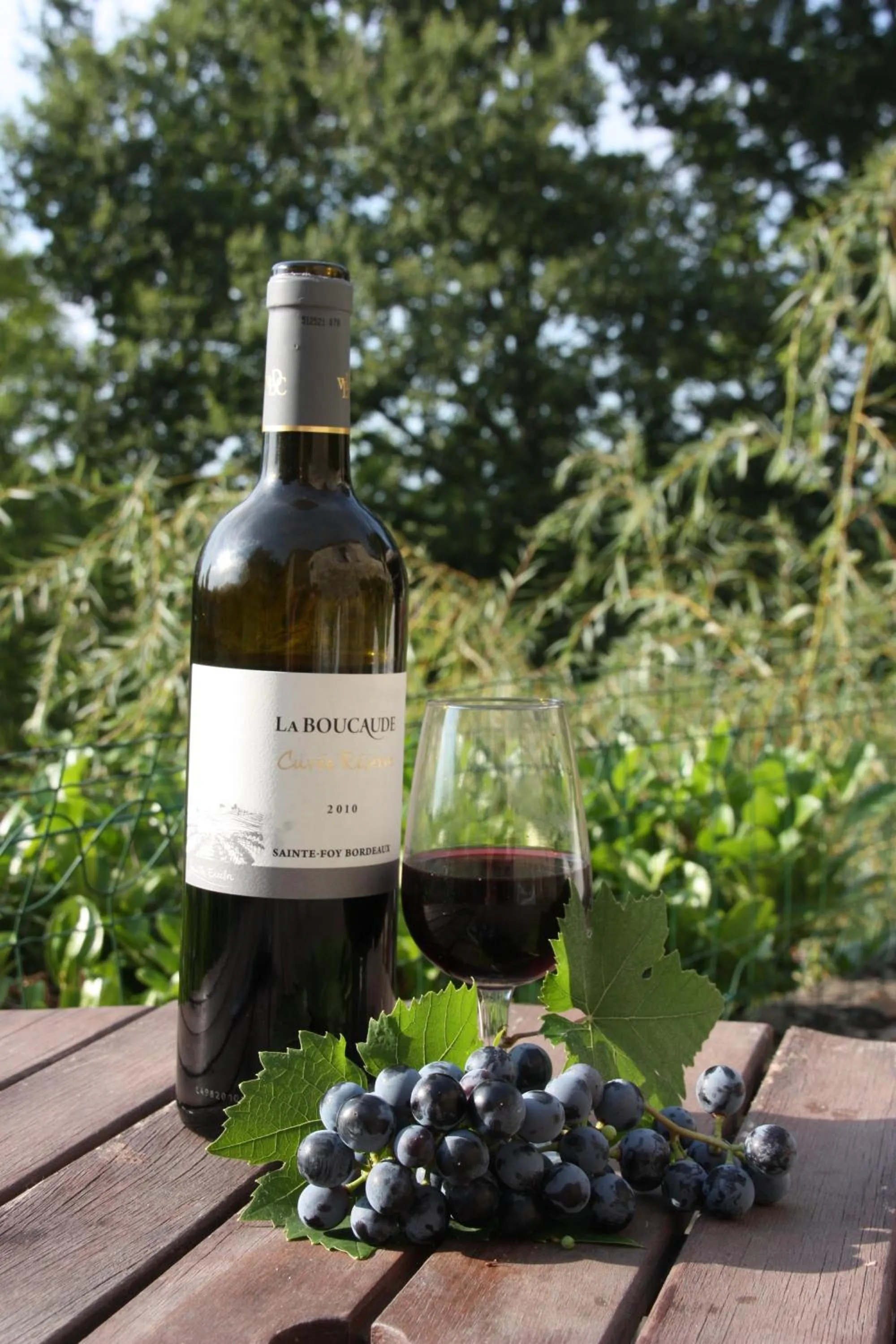 Drinks in Le Peyrail