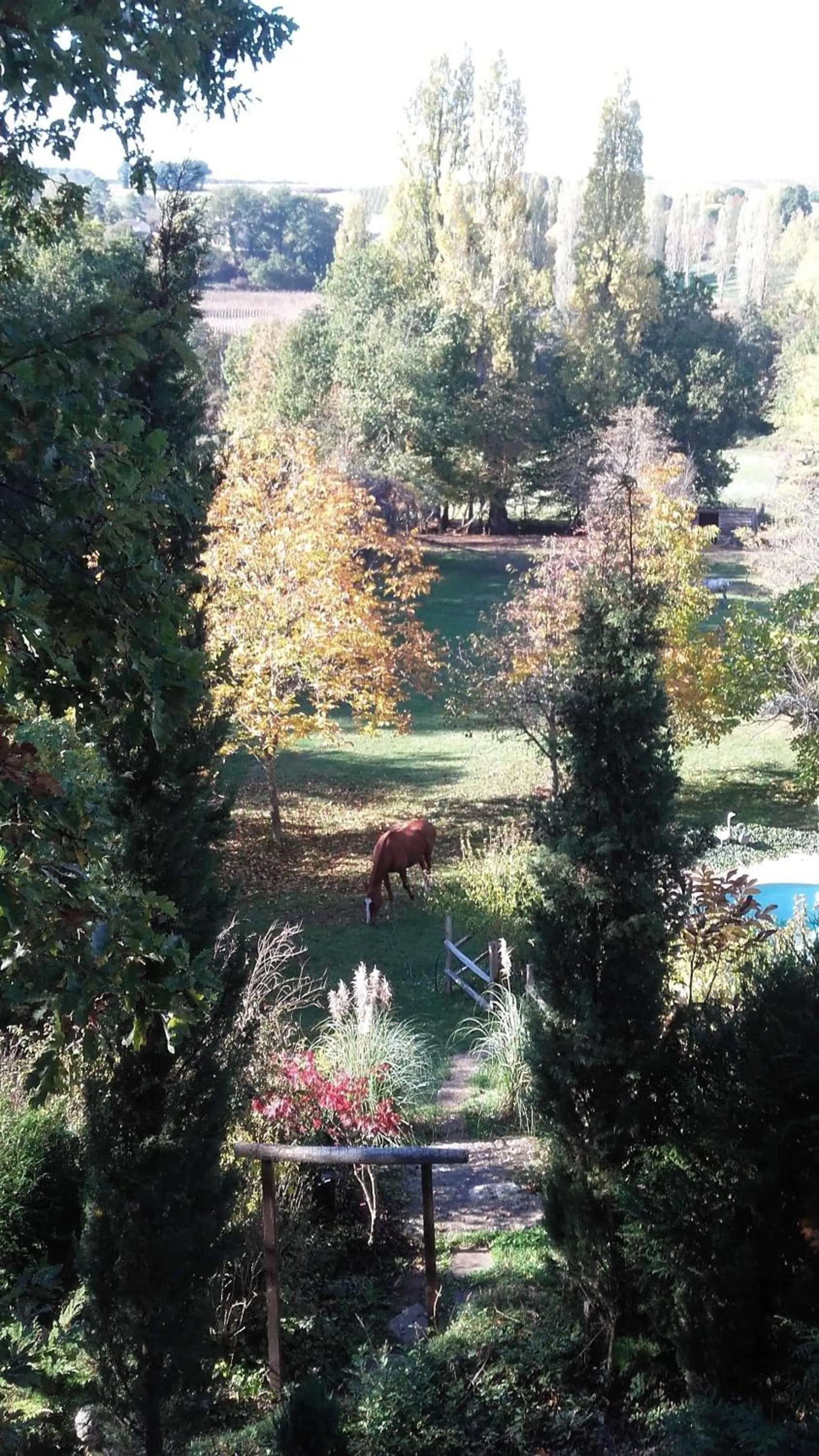 Garden in Le Peyrail