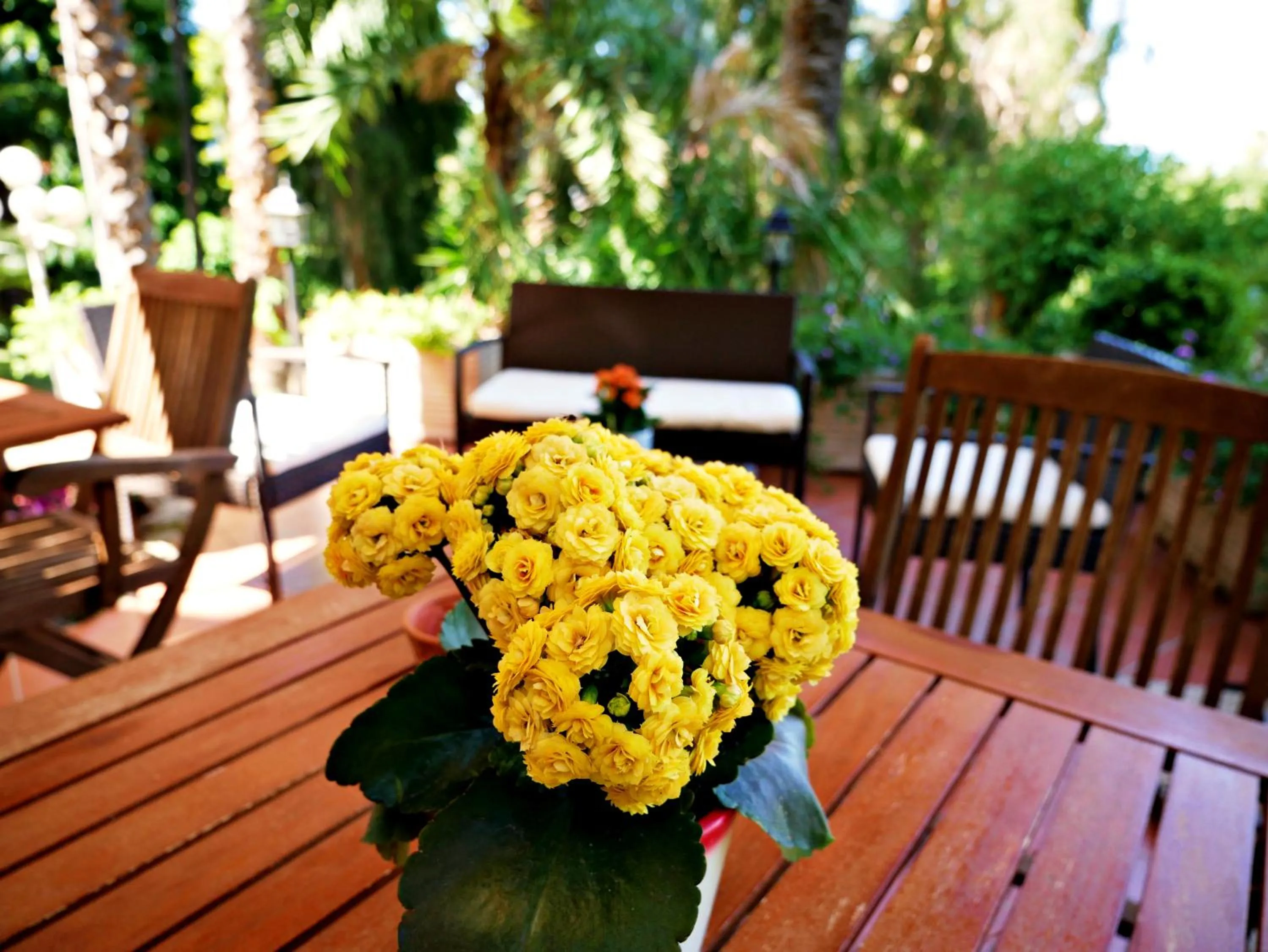 Patio in Du Parc Boutique Home