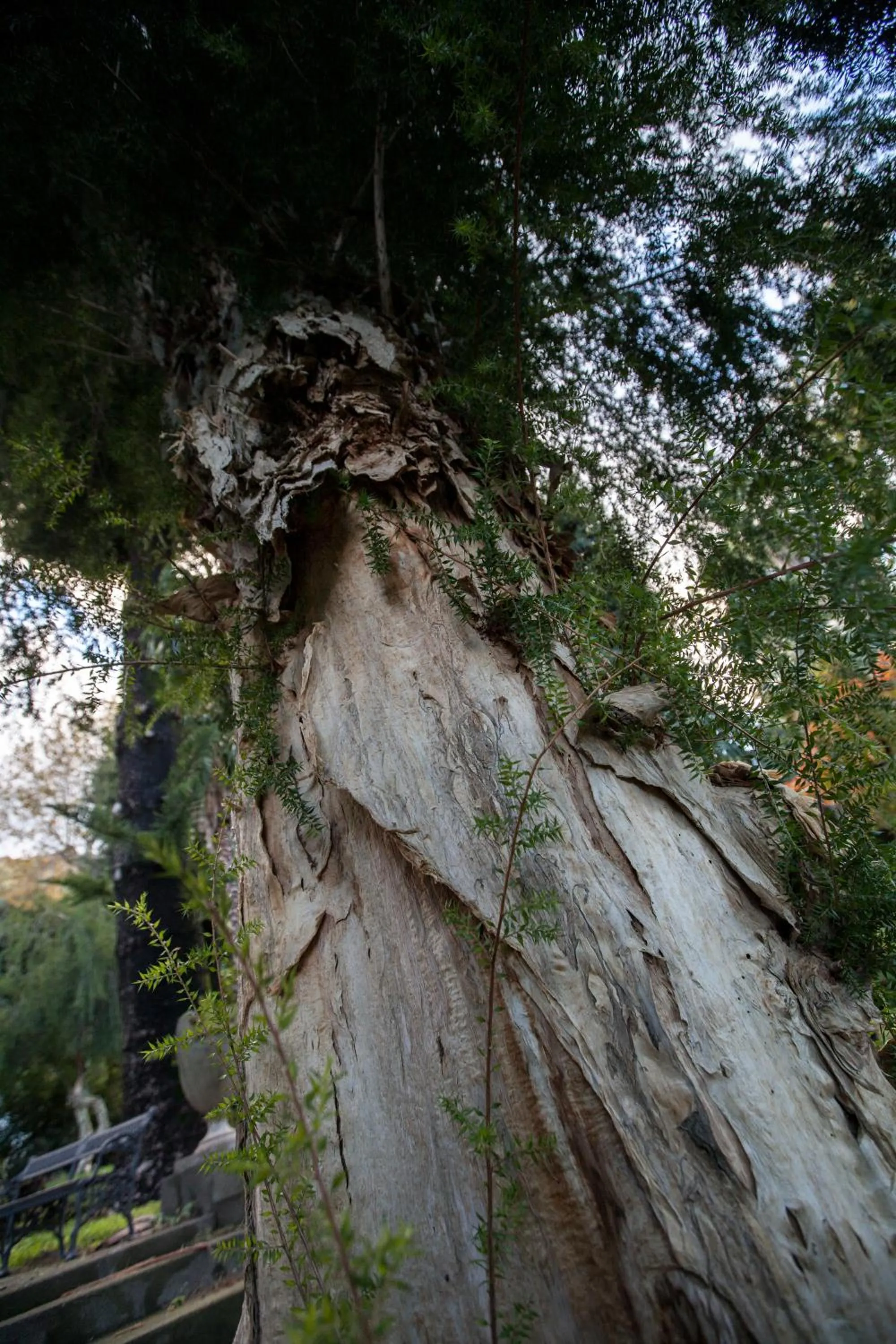 Garden in Du Parc Boutique Home