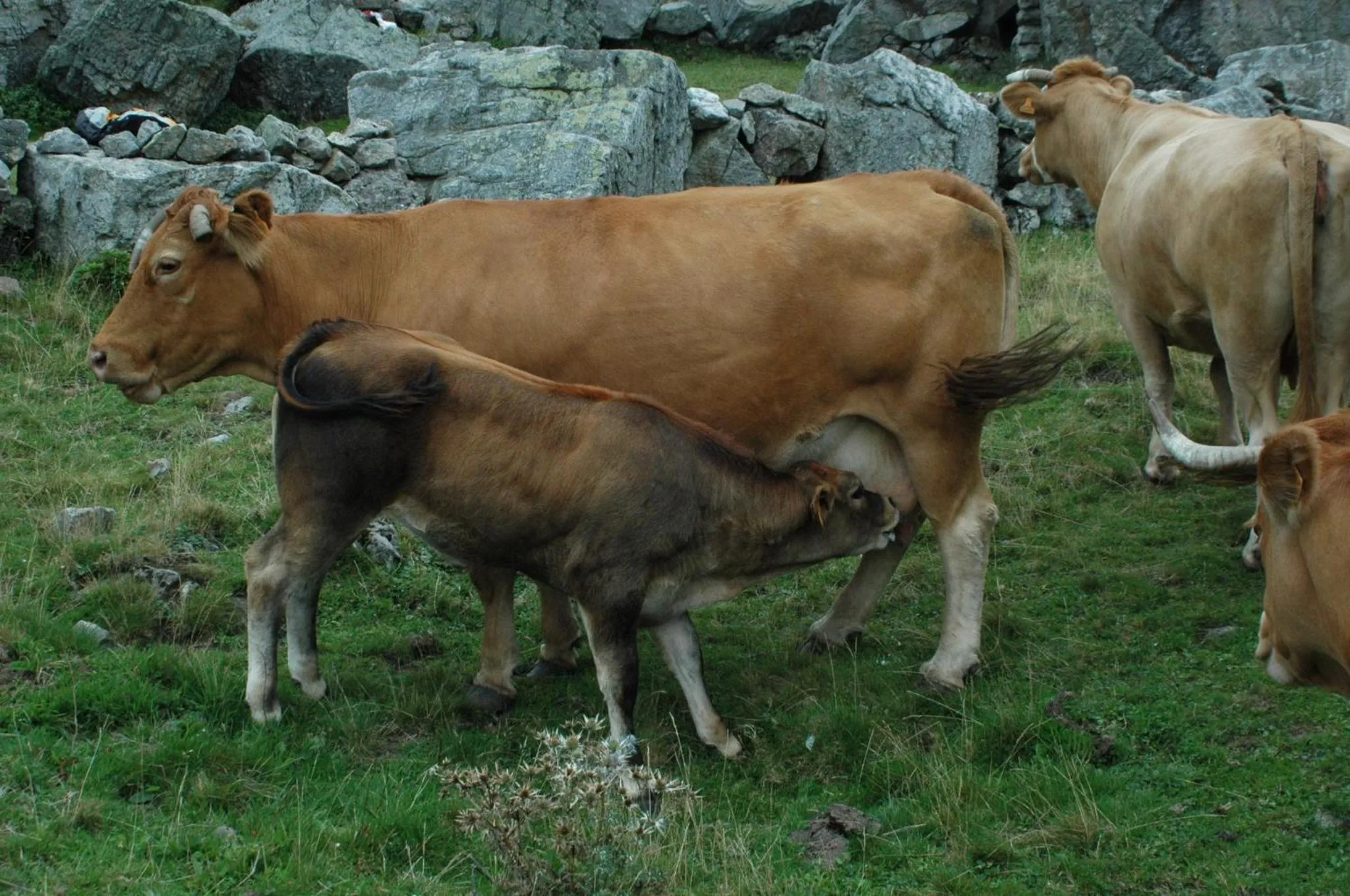 Activities in Posada El Mirador