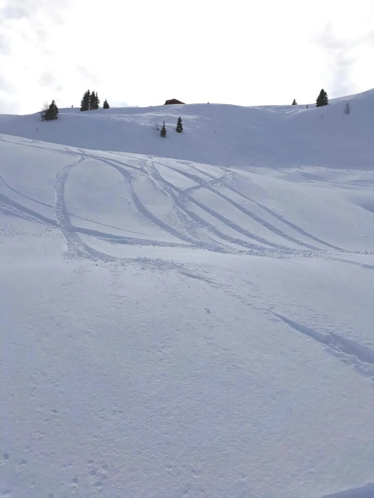 Winter in GM Royal Plaza