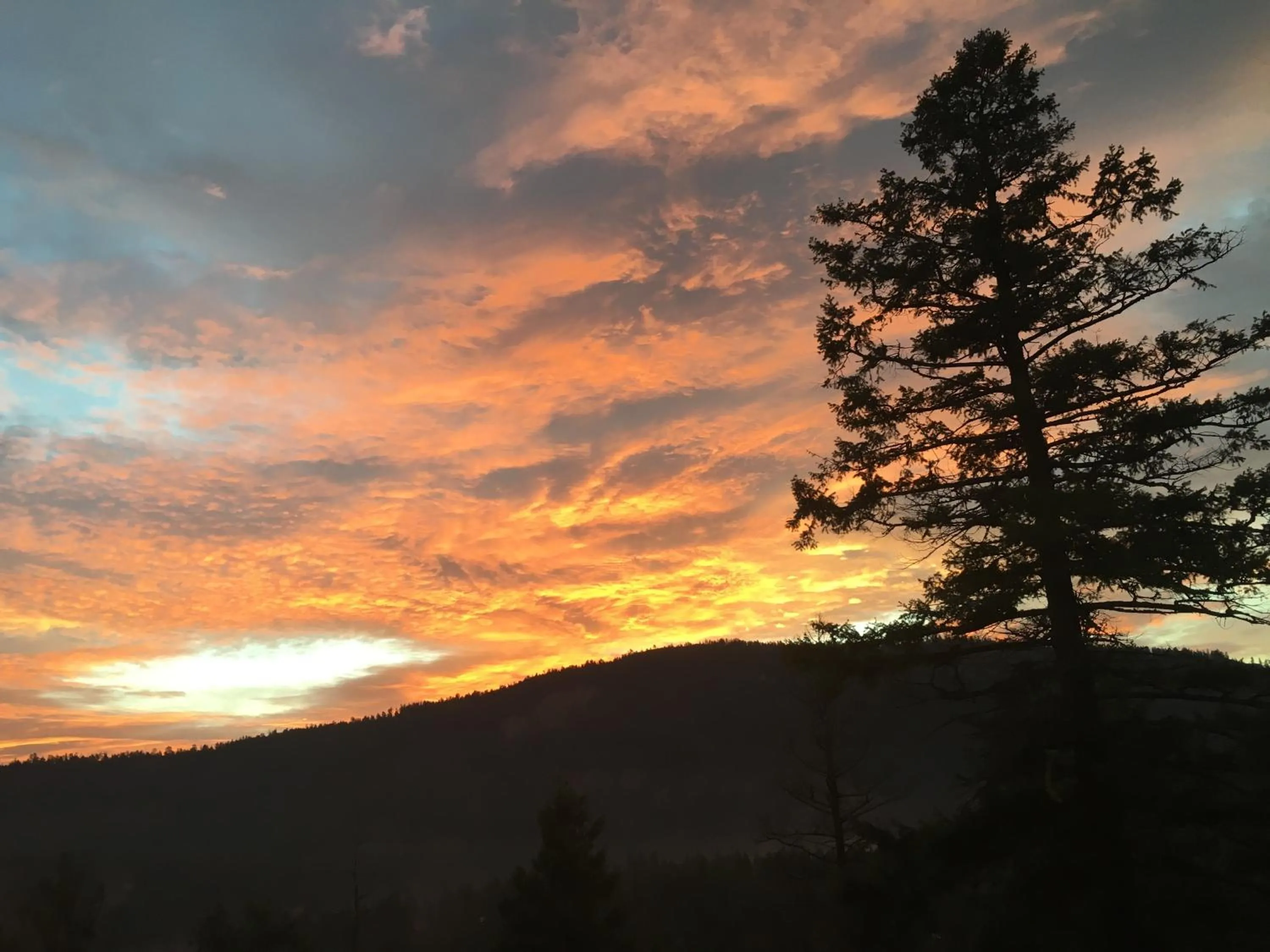 View (from property/room) in Casa Colina