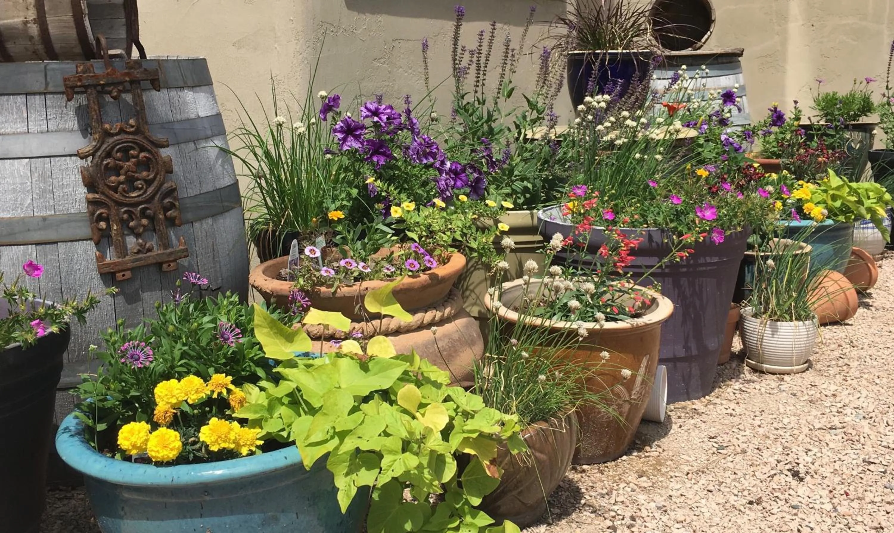 Garden in Casa Colina