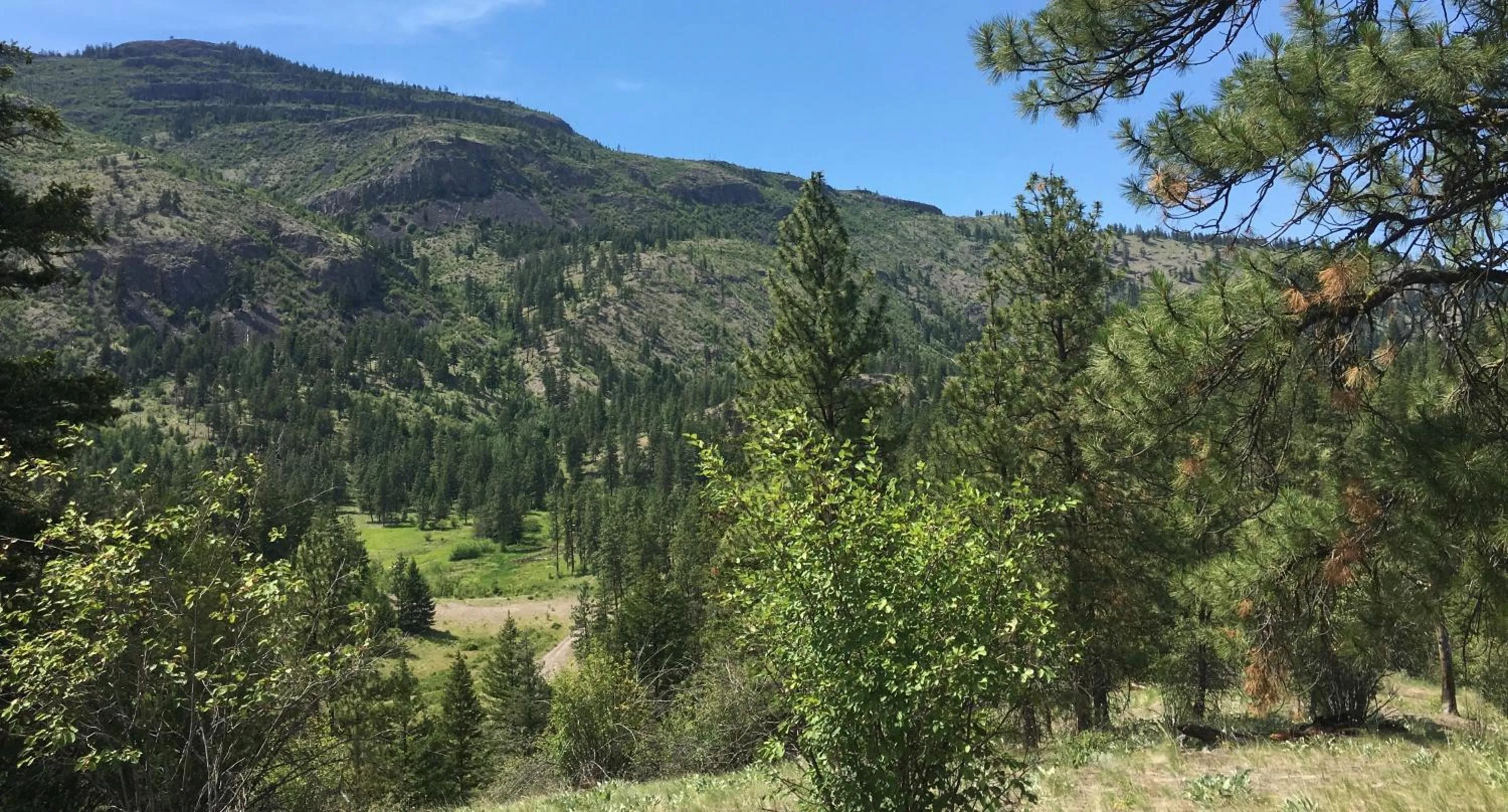 Mountain view in Casa Colina