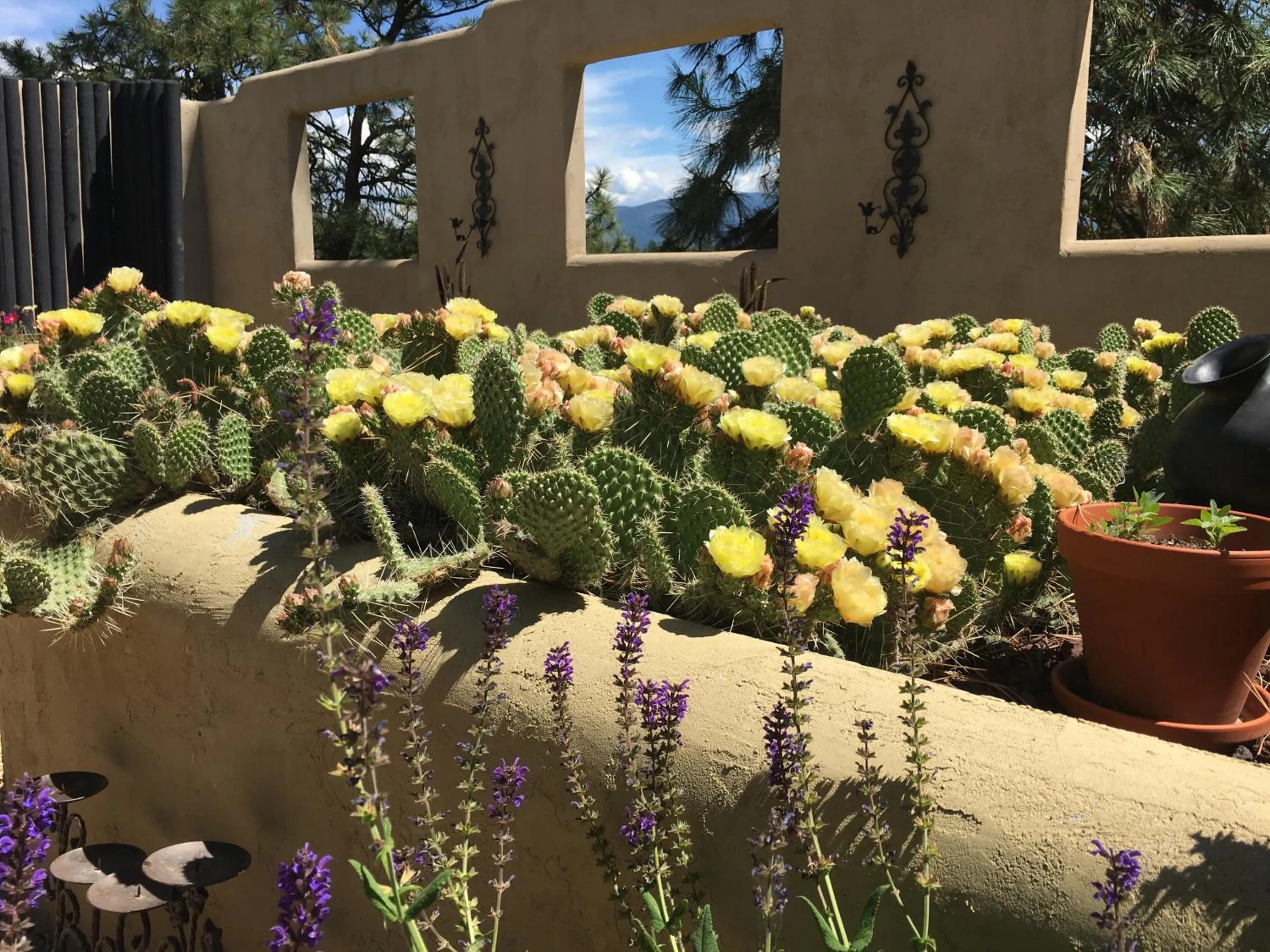 Garden in Casa Colina